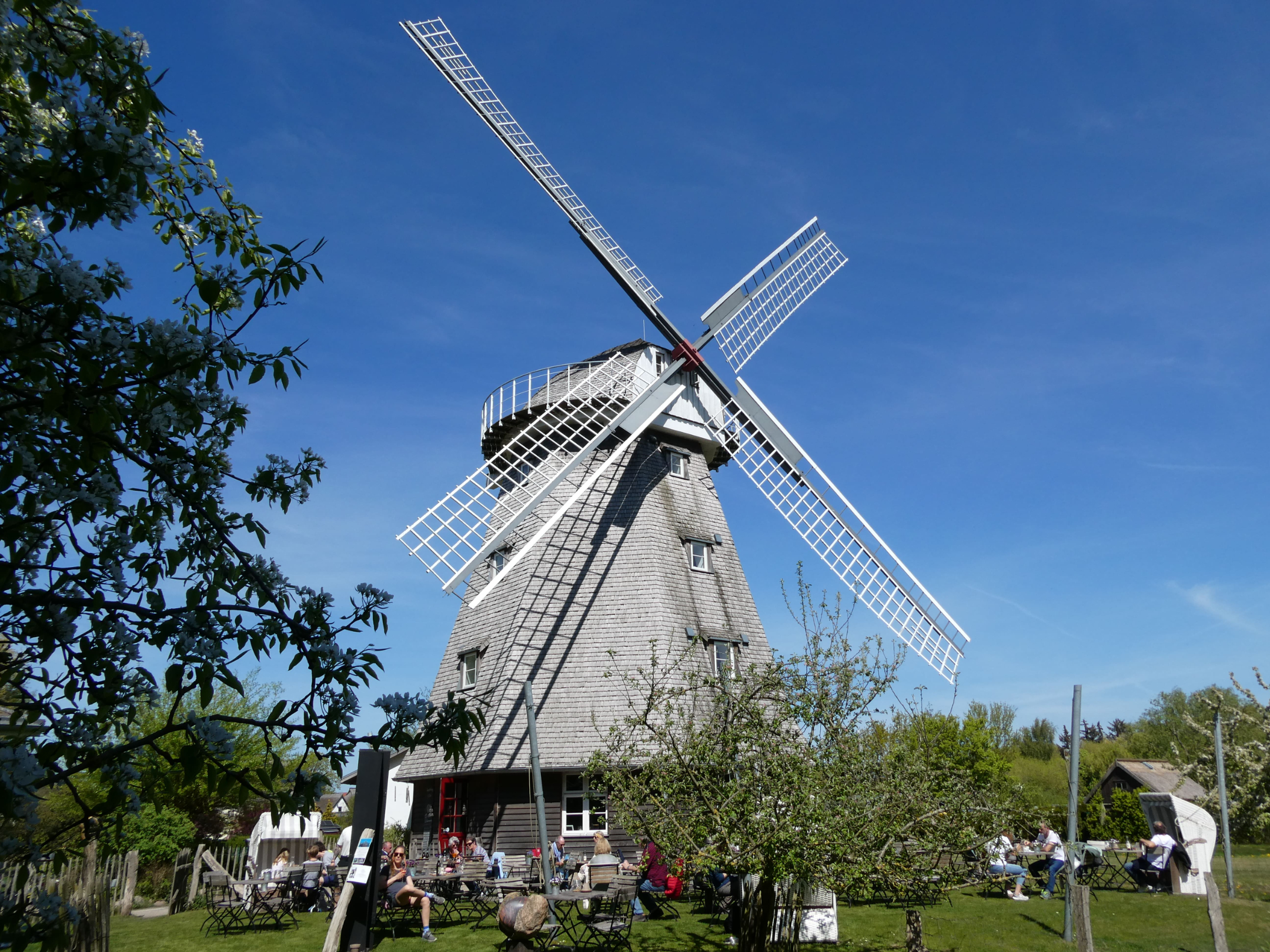 P1001311