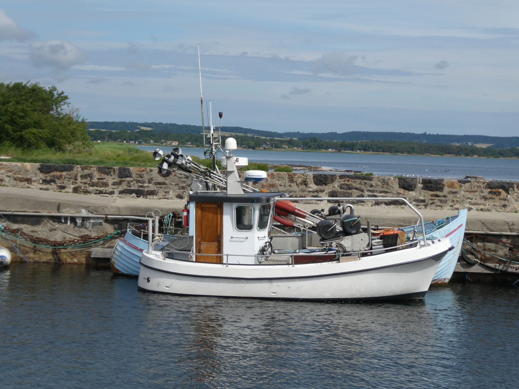 P1003156