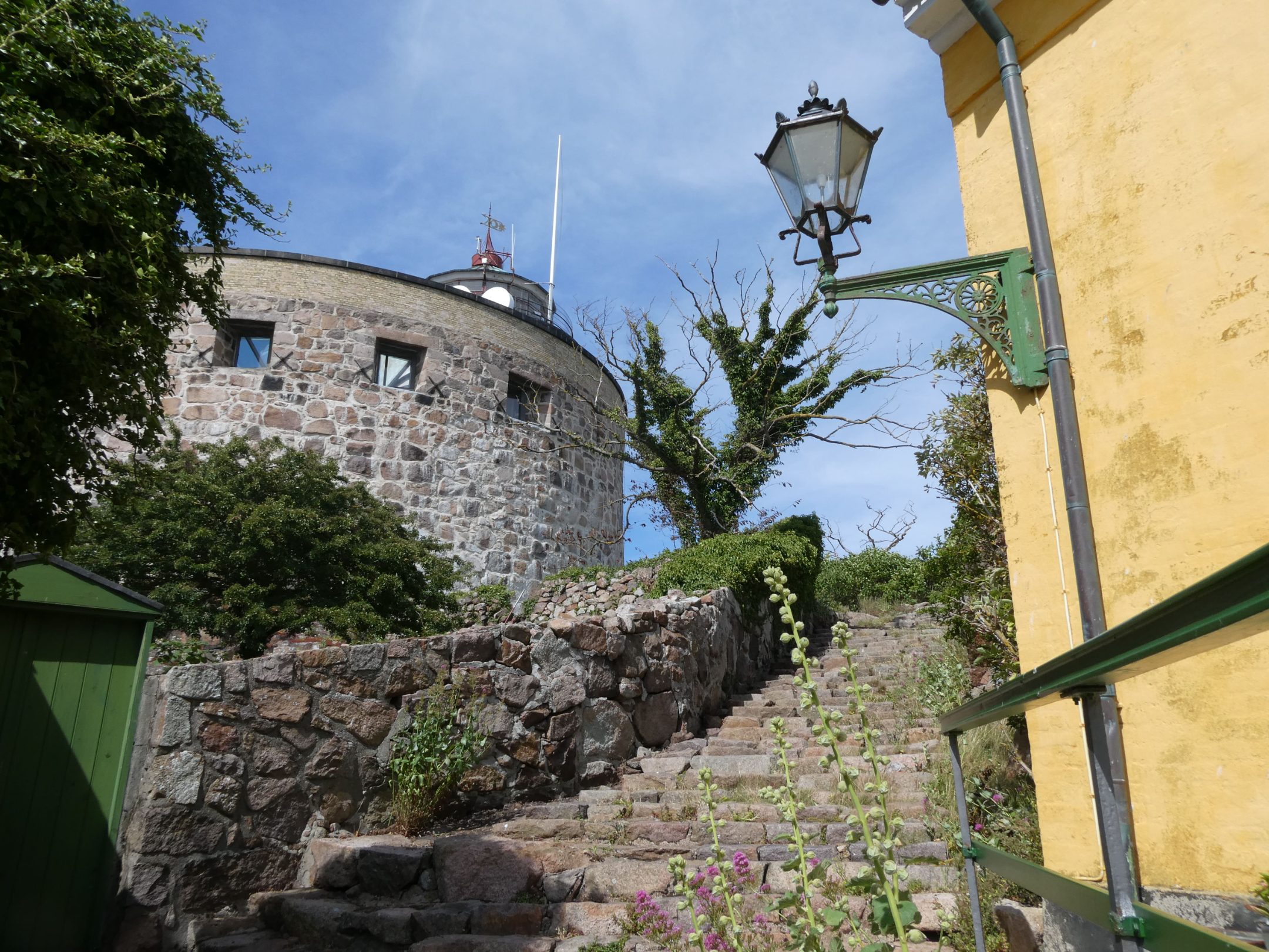 P1003529