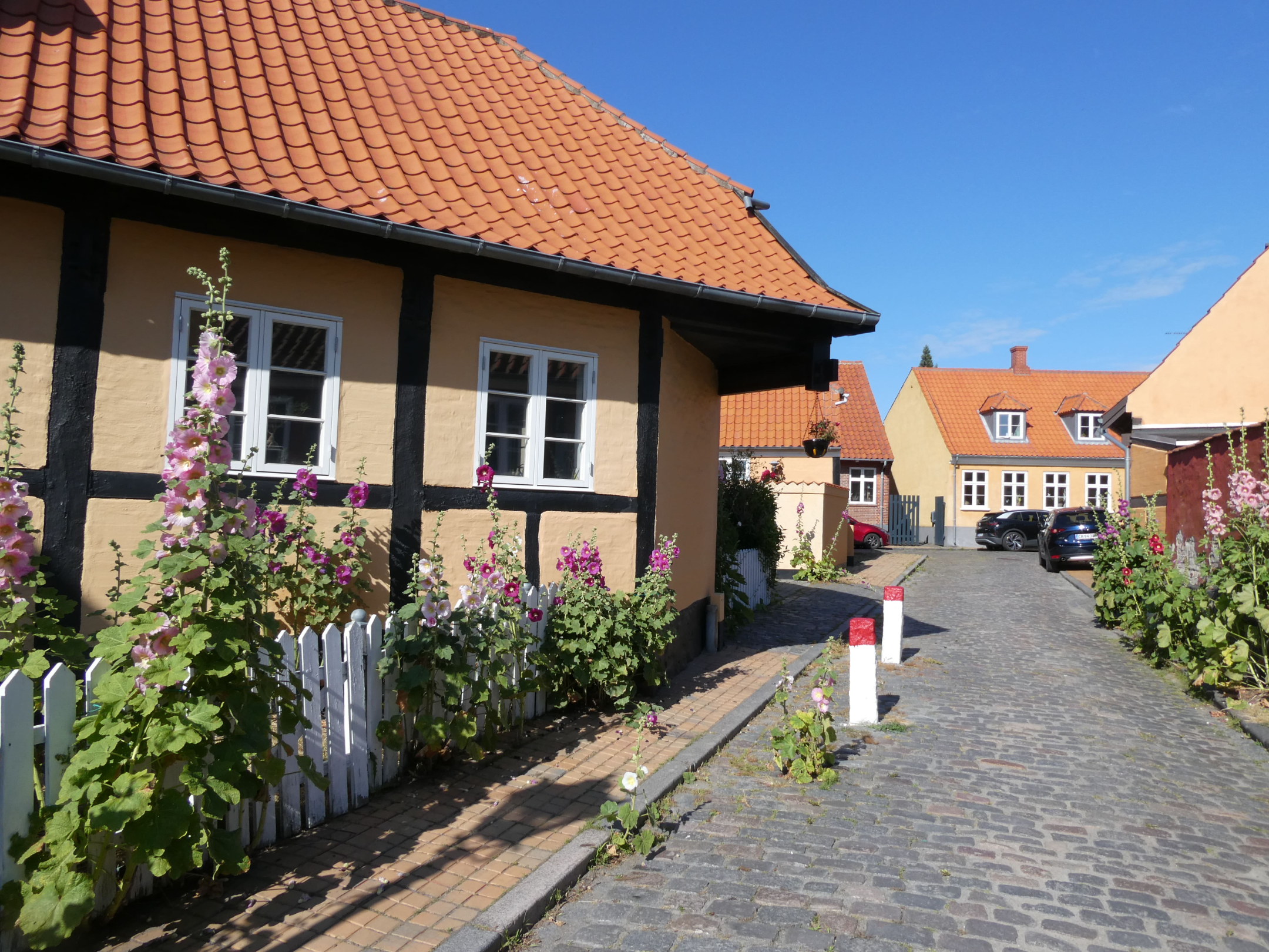P1003717