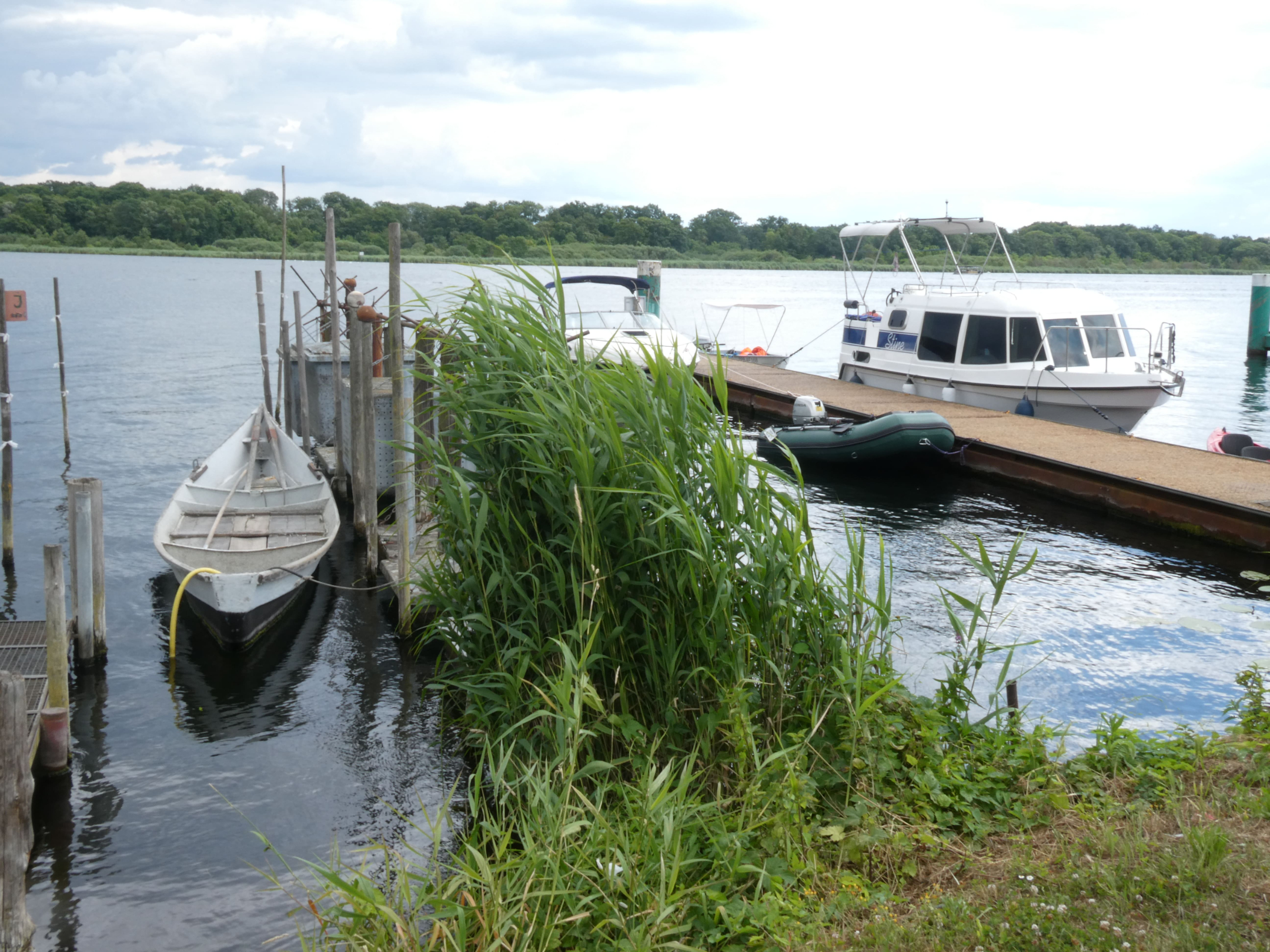 P1002651