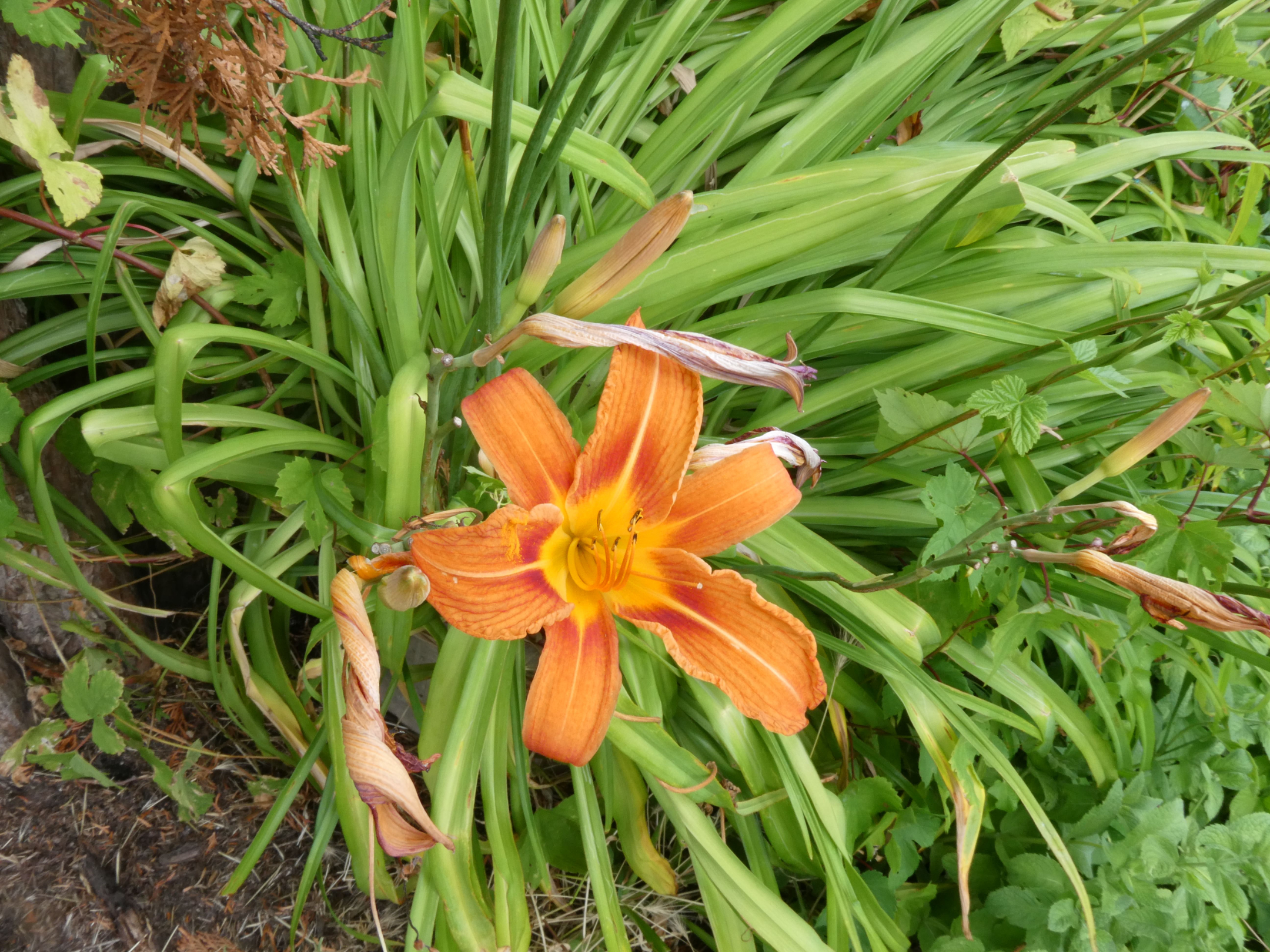 P1002677