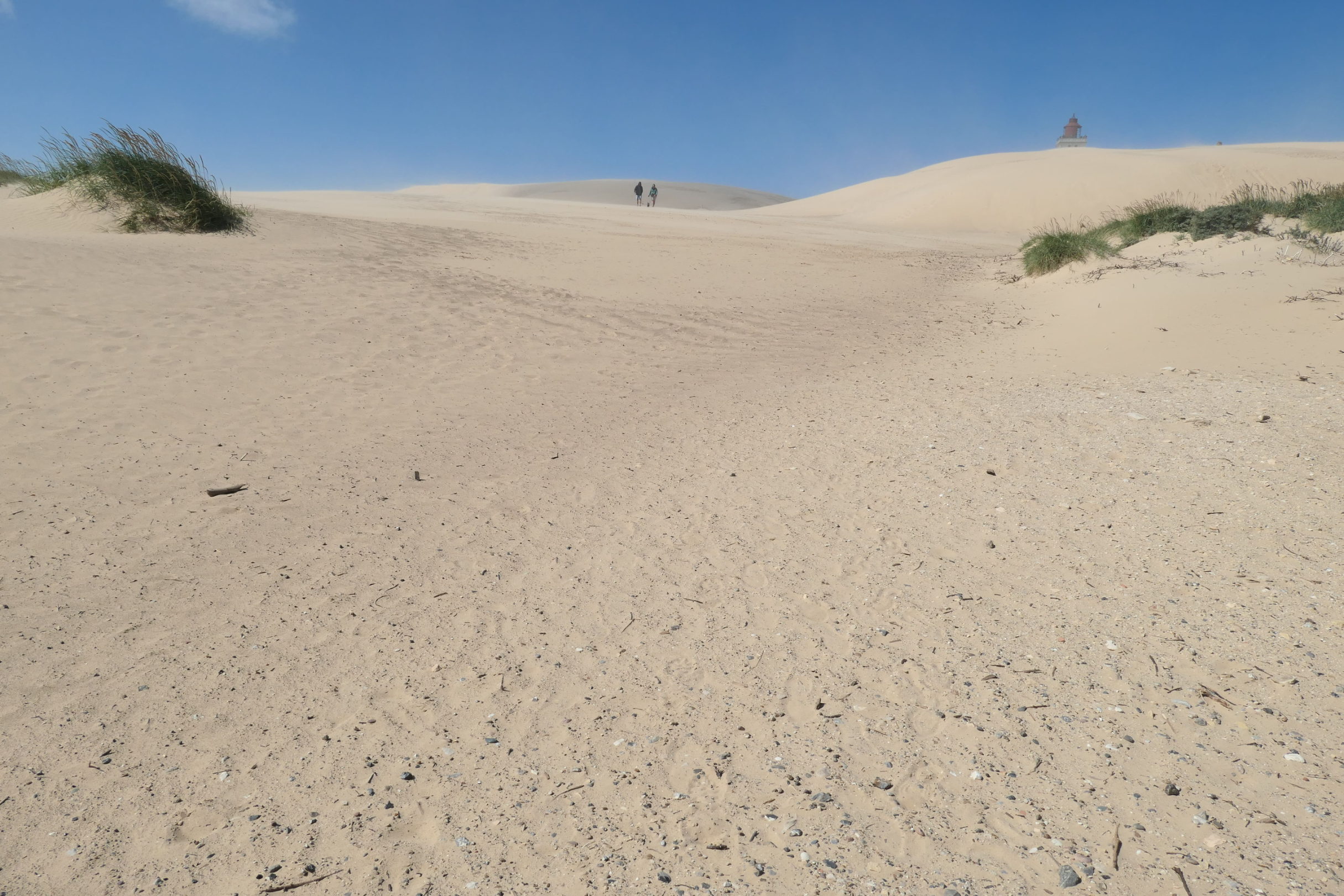 P1024654