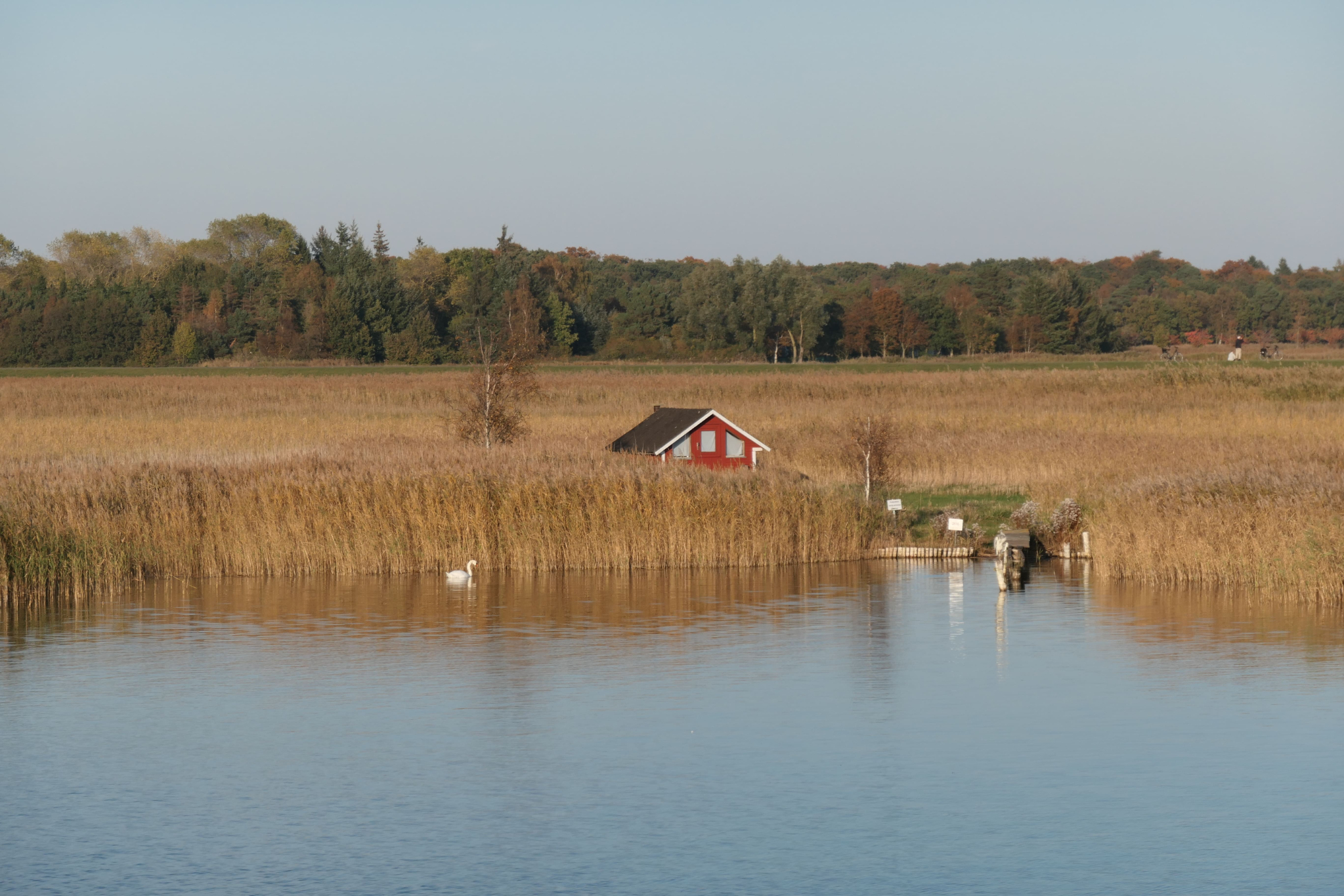 Zingst 05