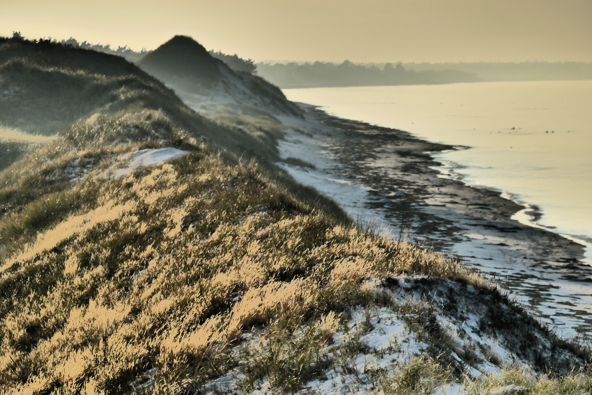 Zingst 17