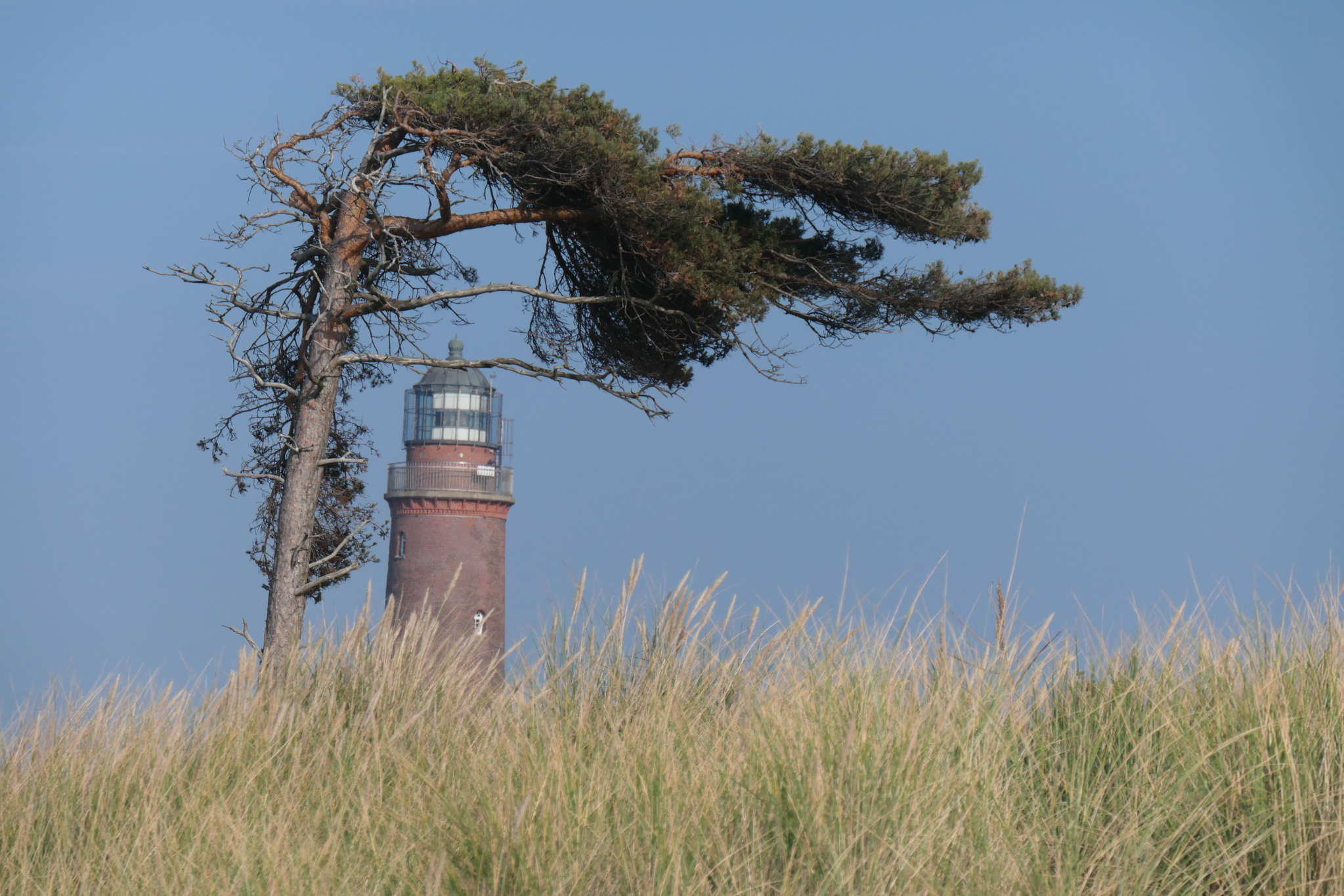 Zingst 25