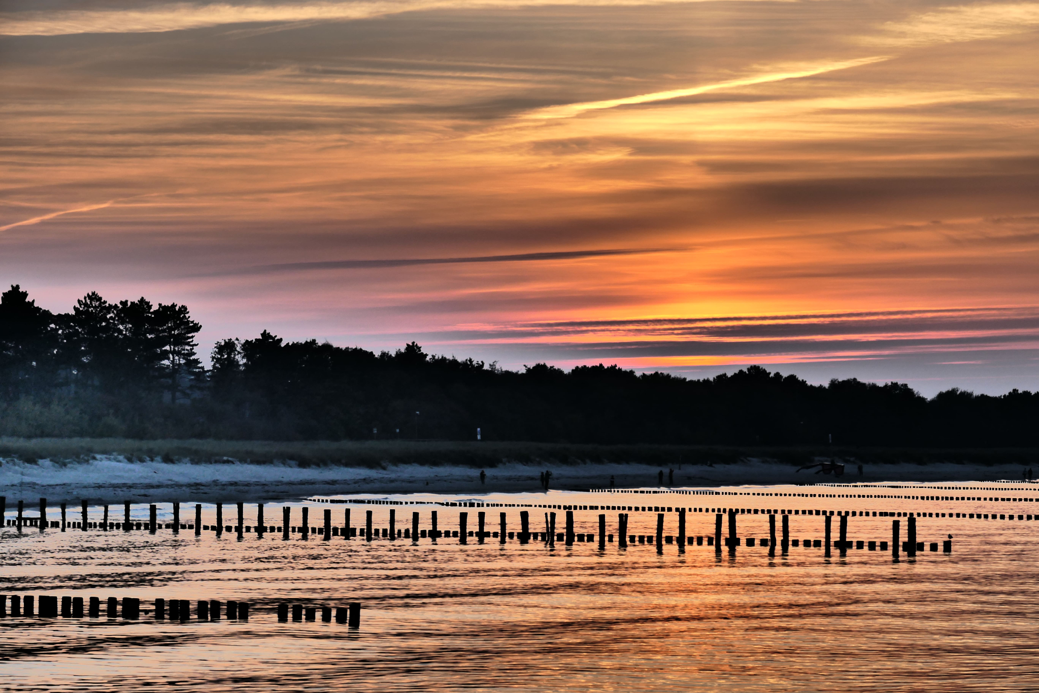 Zingst 28