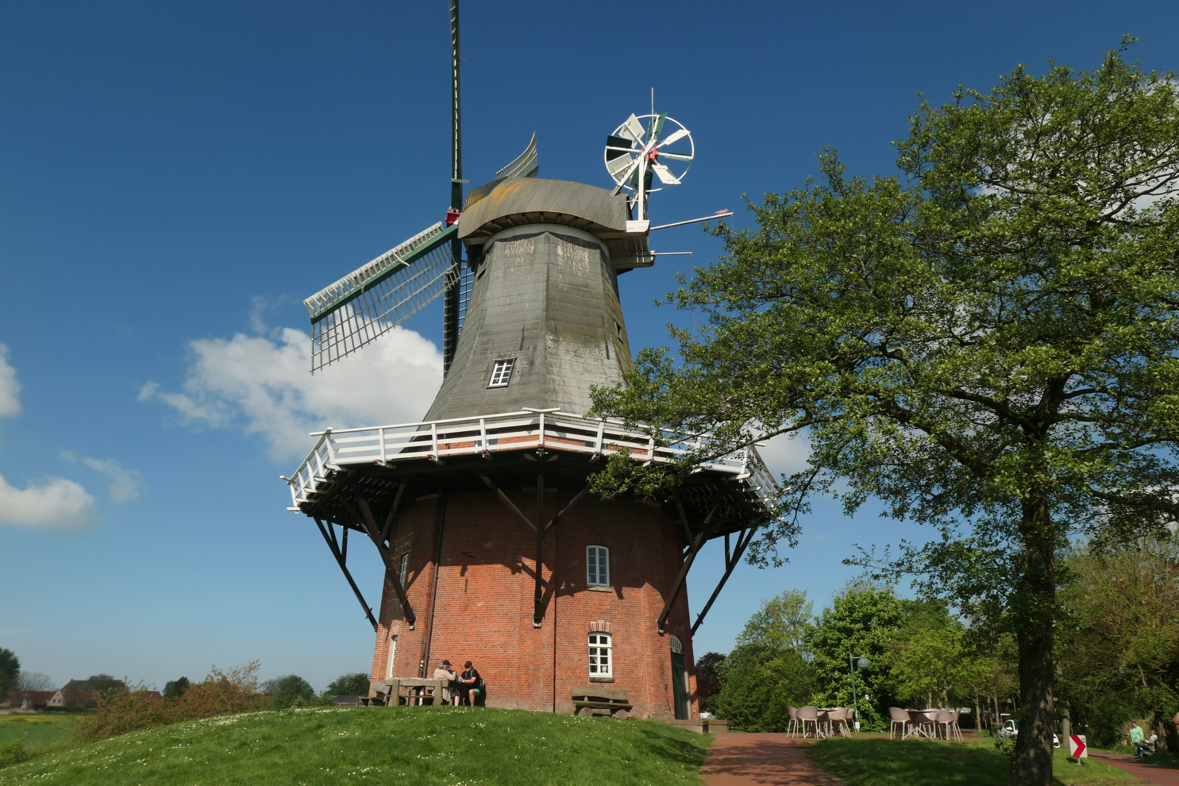 P1007678
