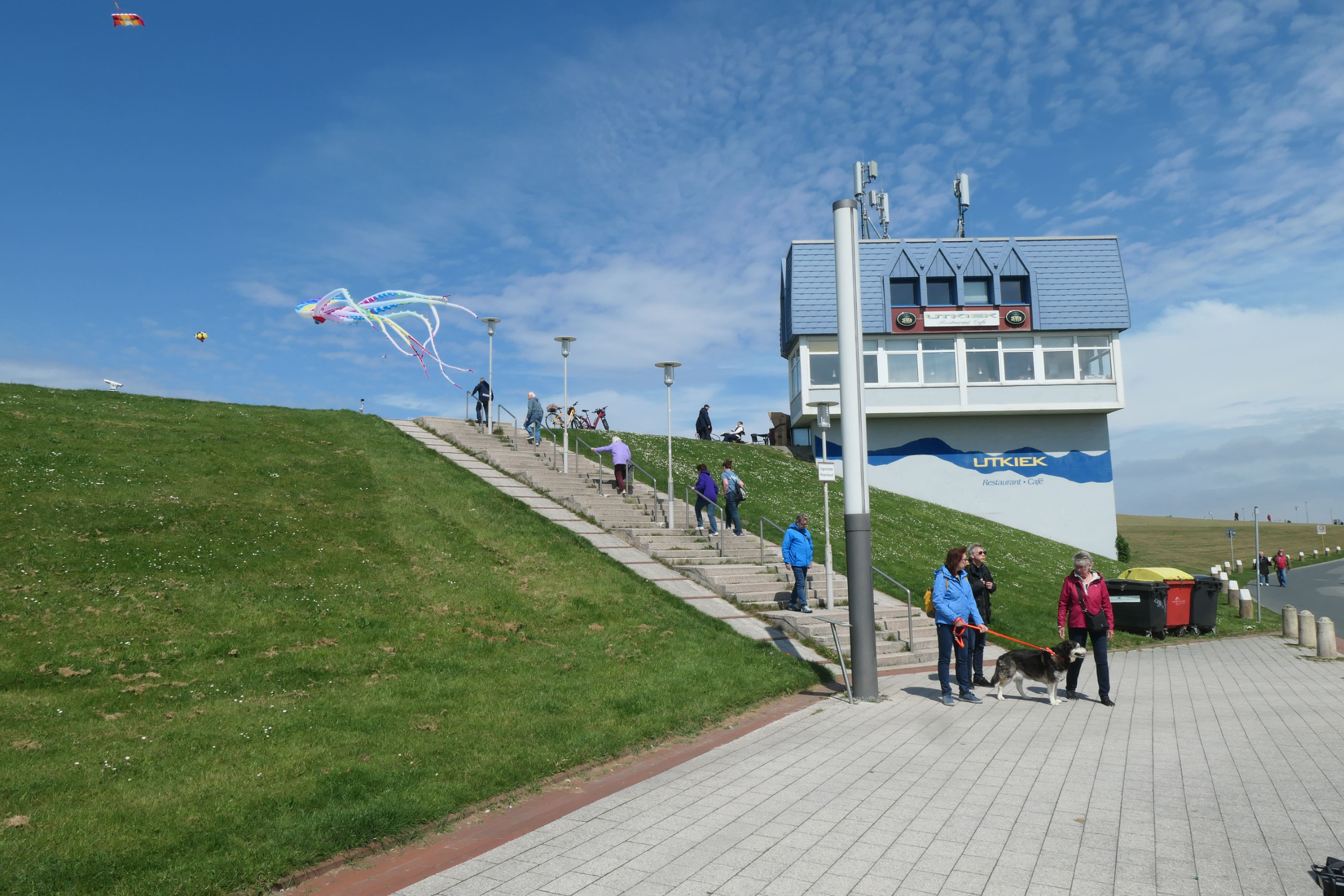 P1007893