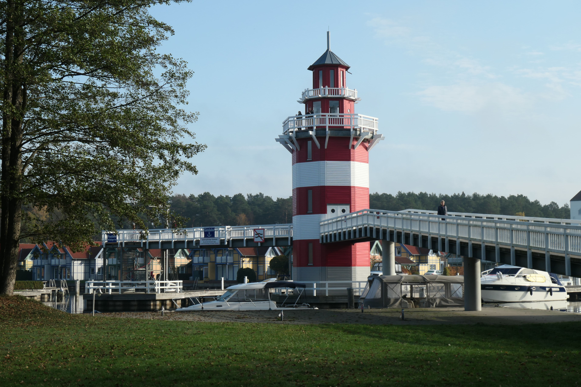 P1001289