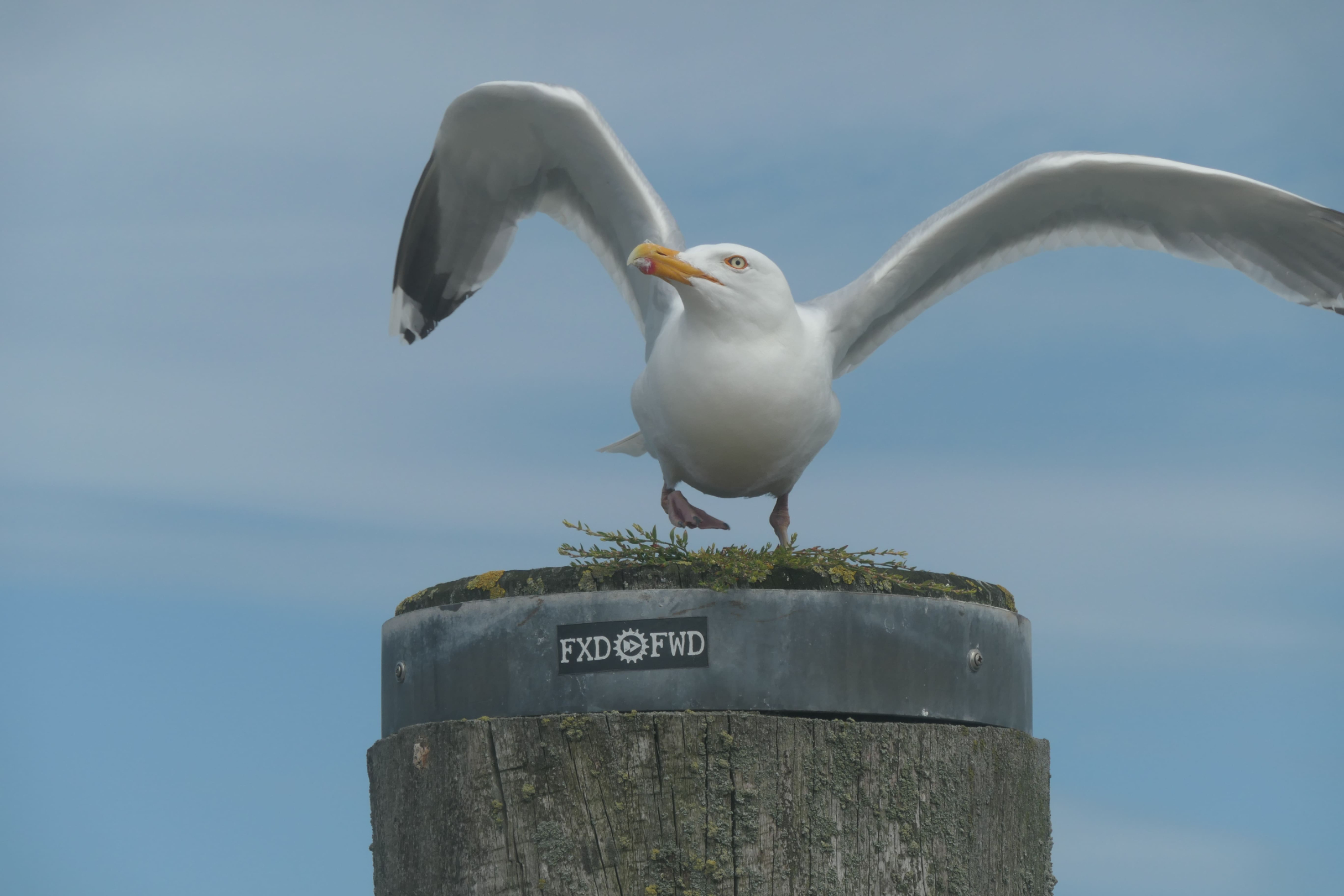 Sylt 2021 26