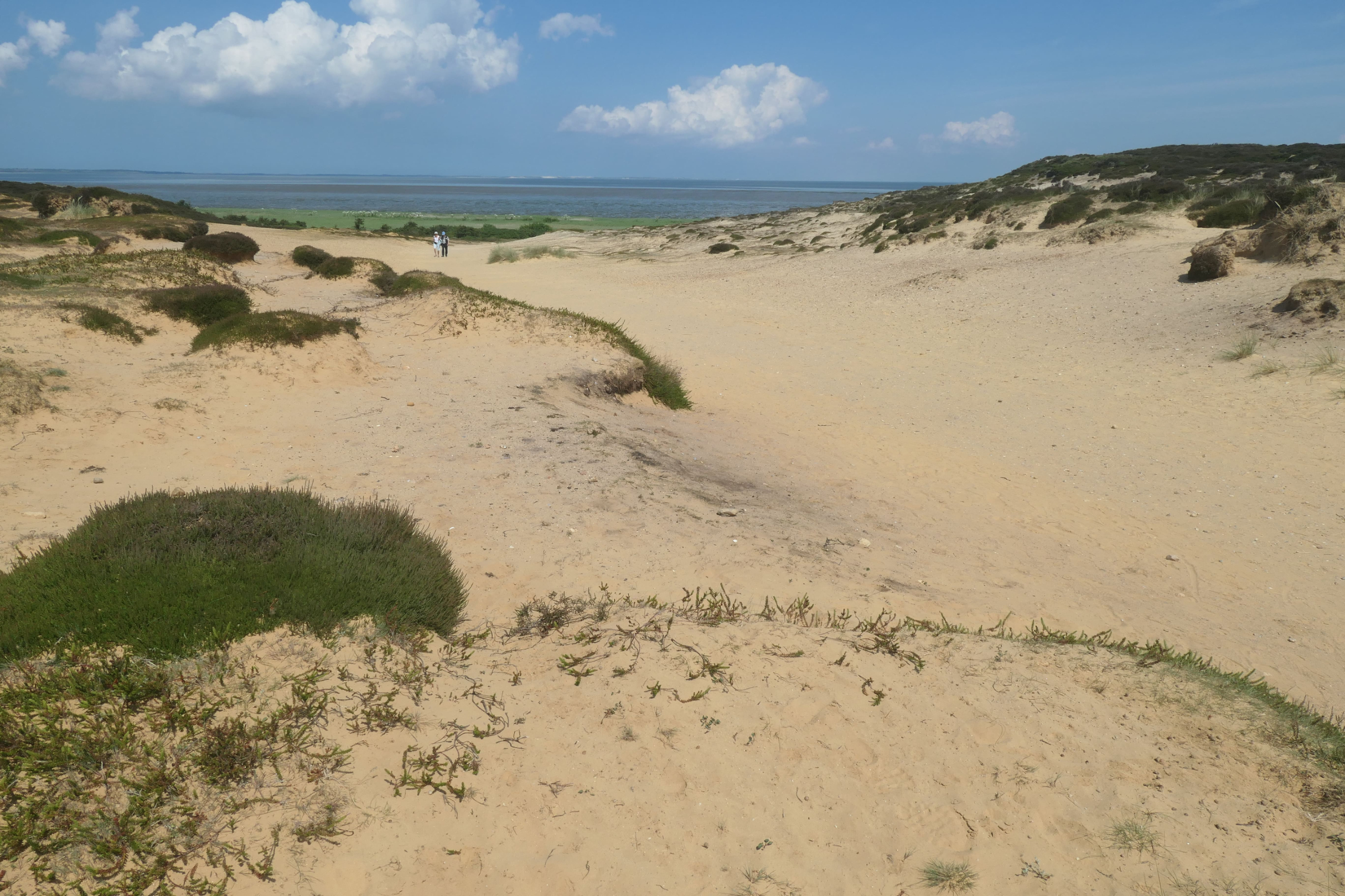 Sylt 2021 50