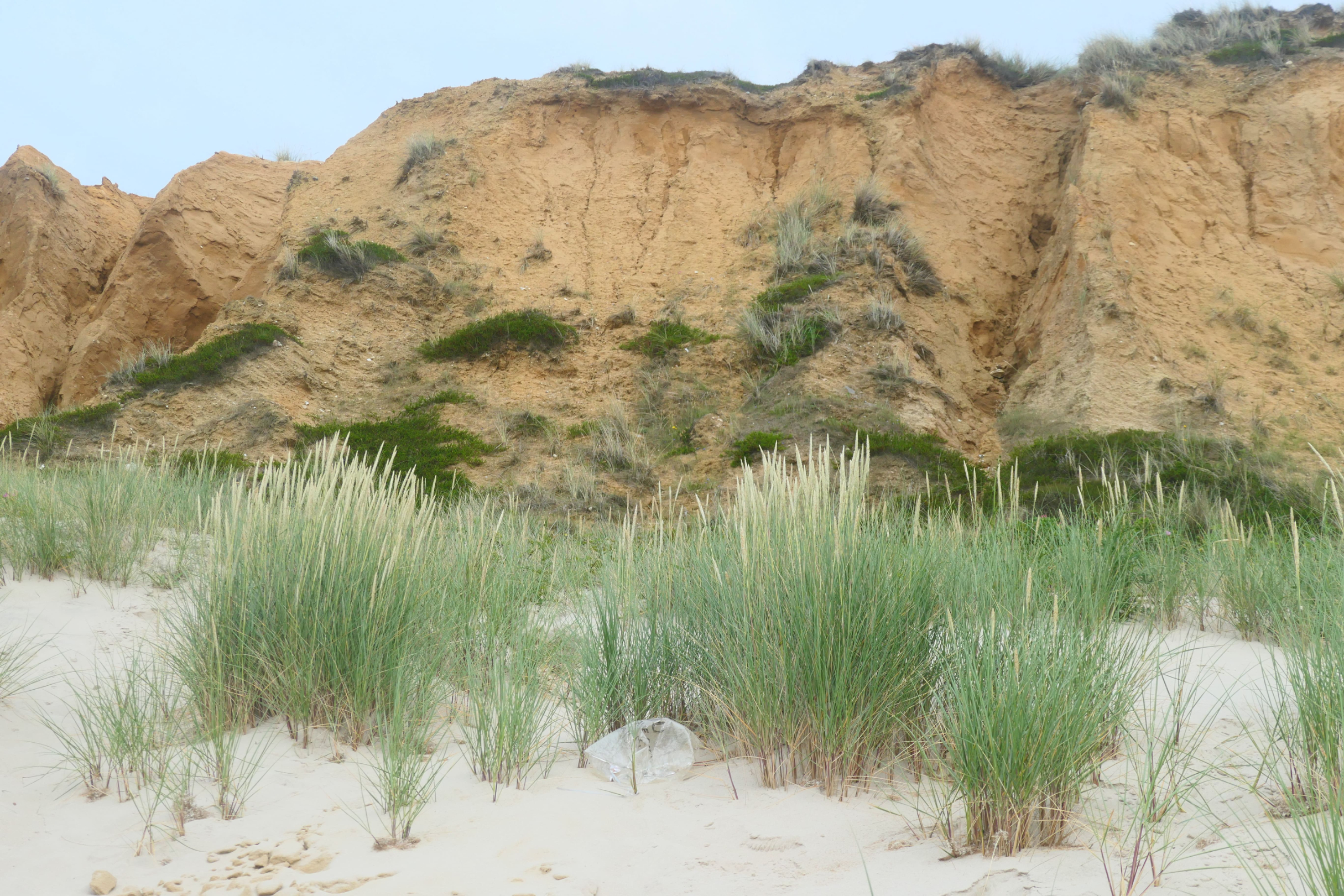 Sylt 2021 81