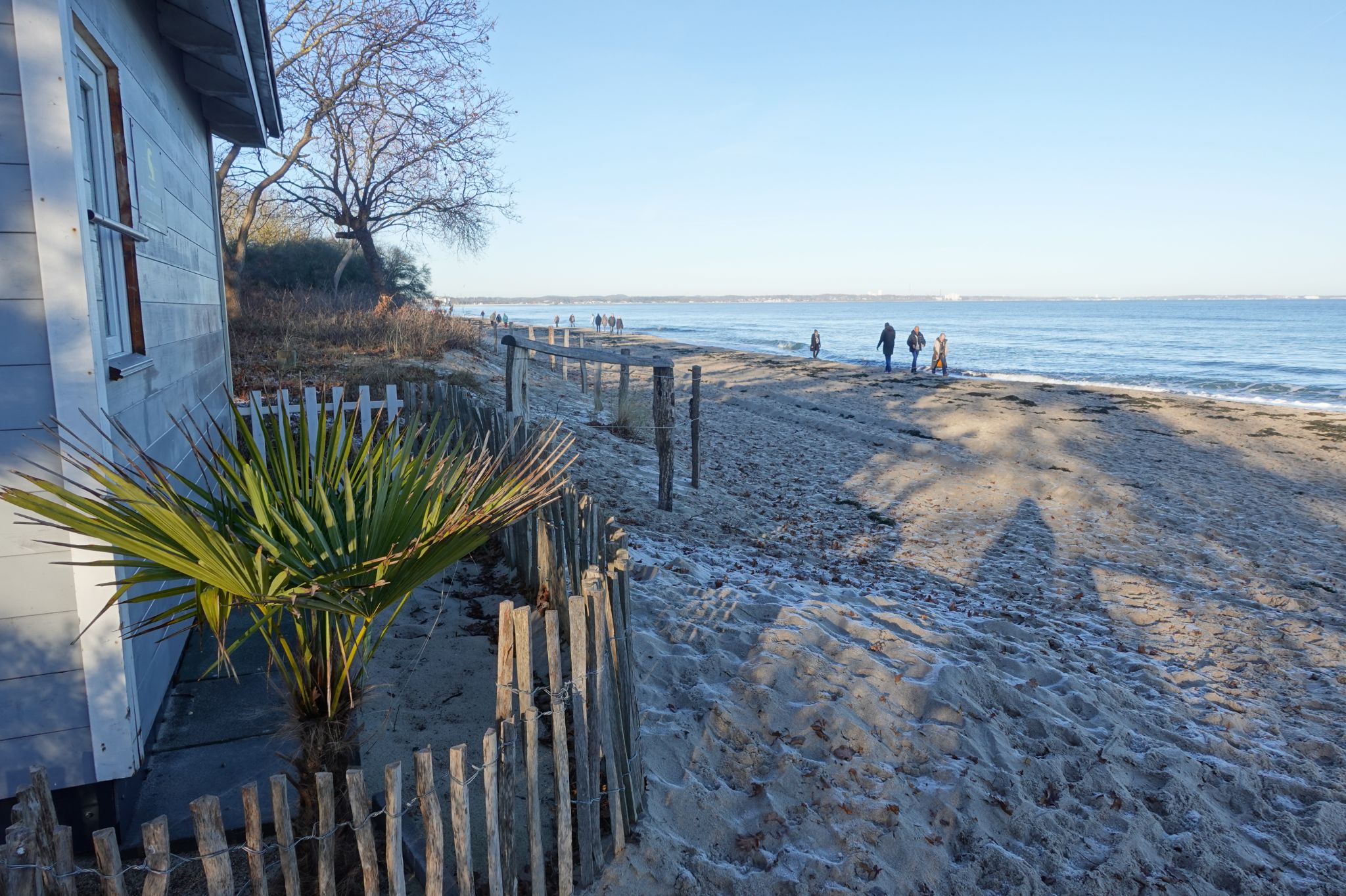 DSC03826