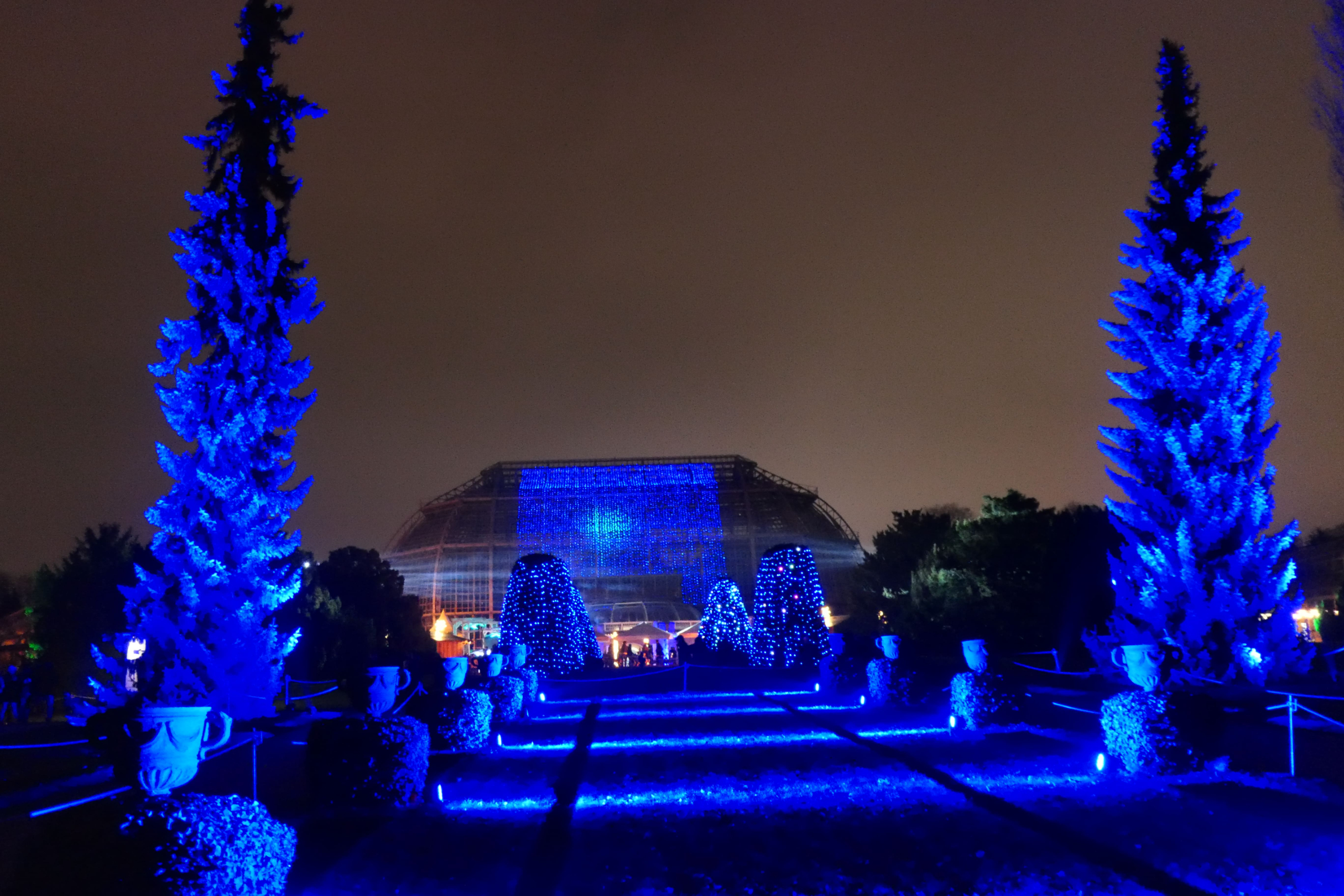 Christmas Garden 01