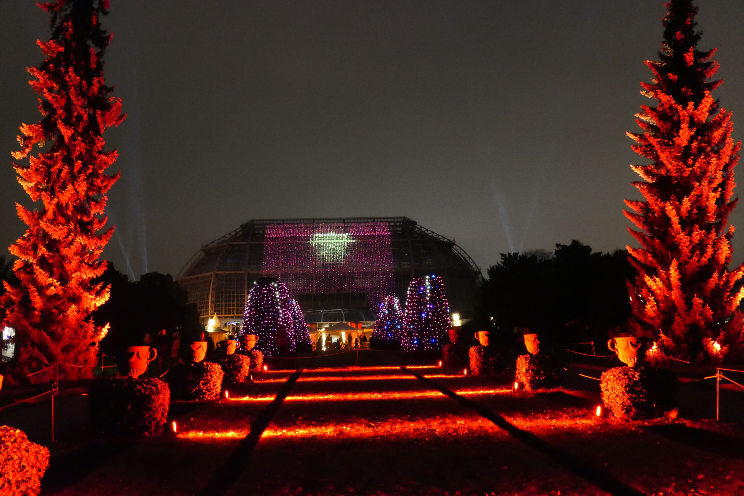 Christmas Garden 02