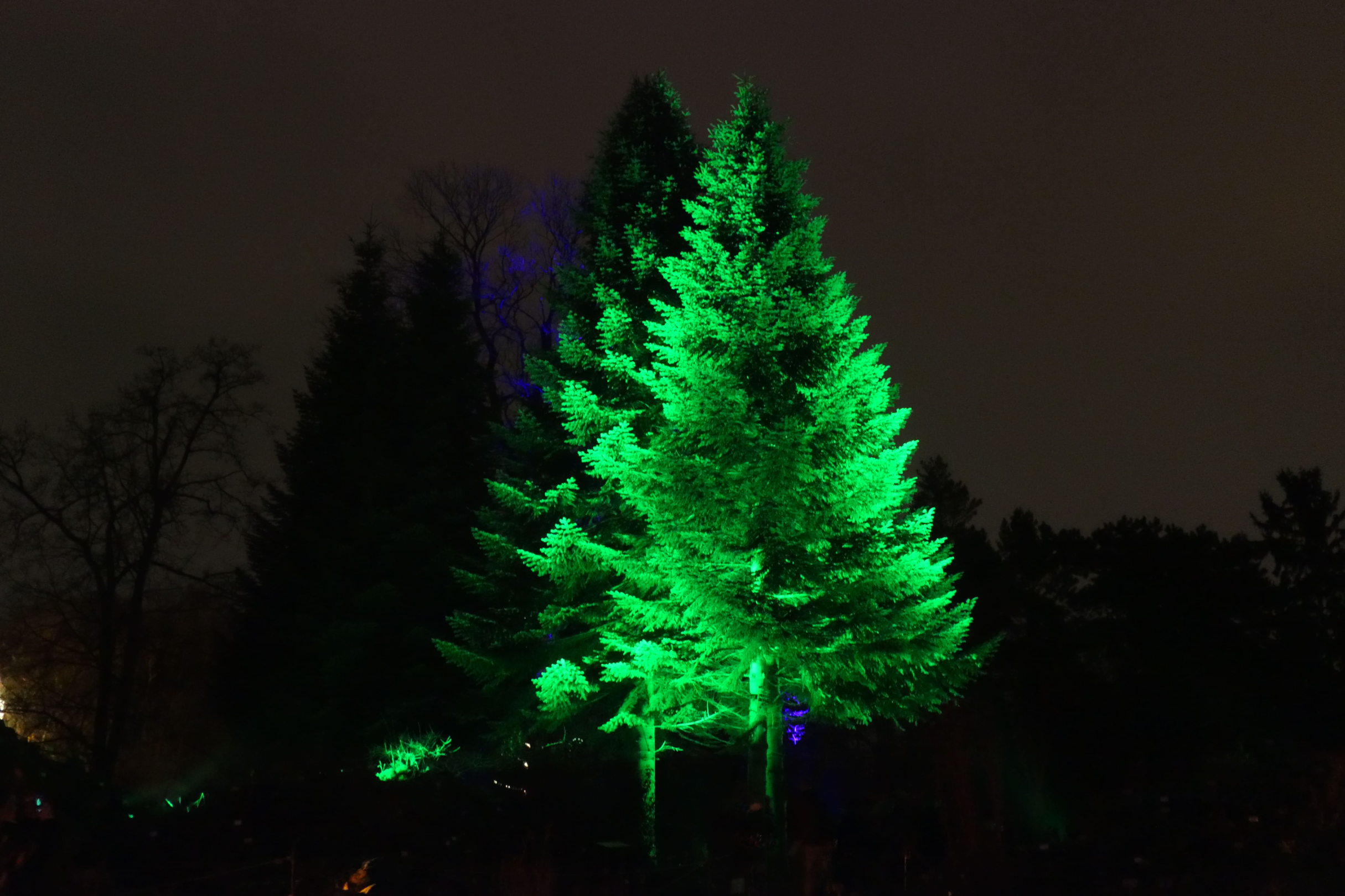 Christmas Garden 03