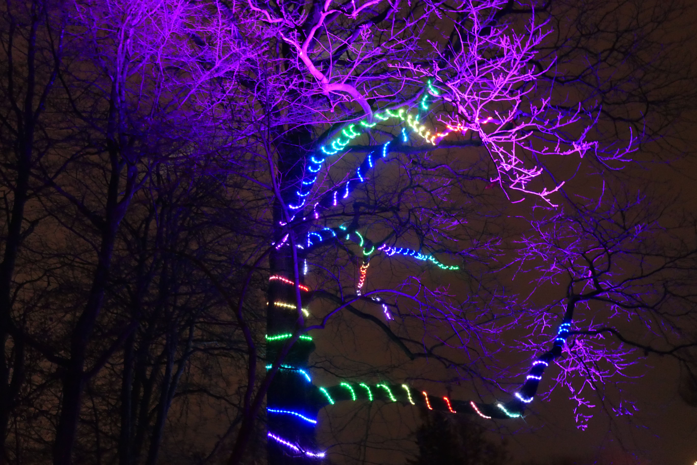 Christmas Garden 04