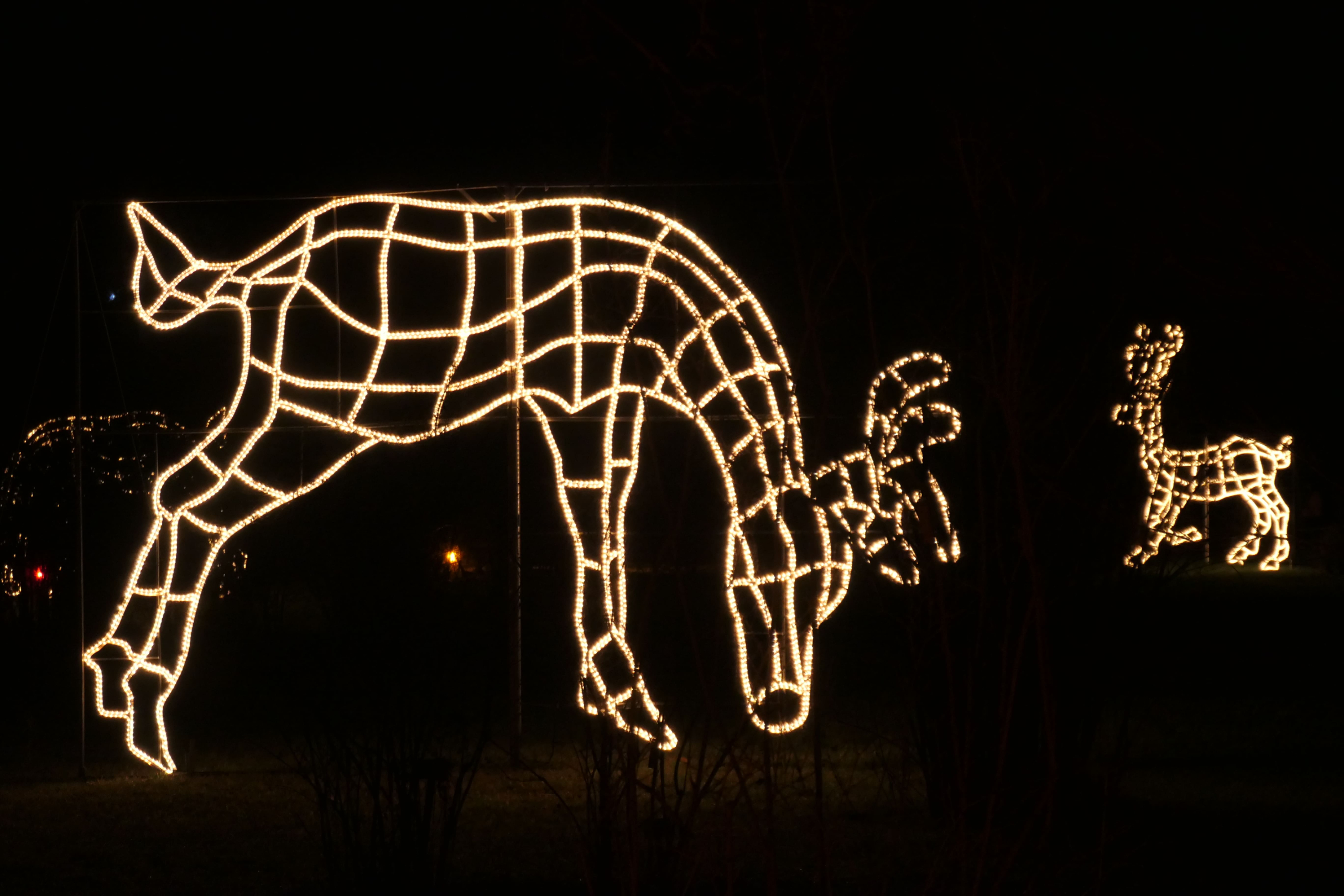 Christmas Garden 06