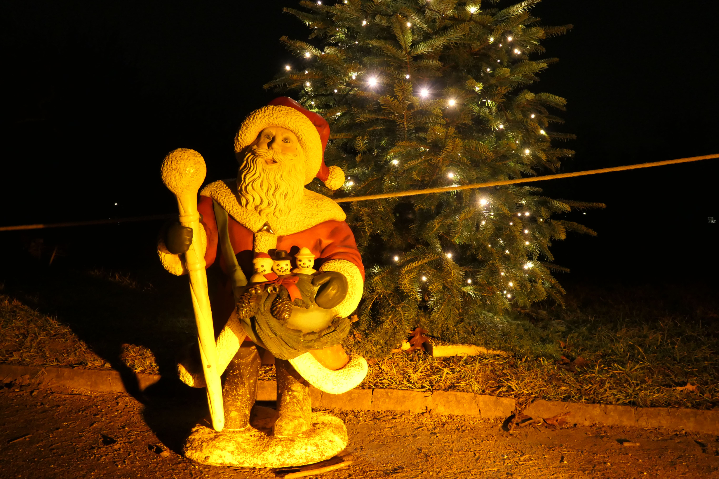 Christmas Garden 08