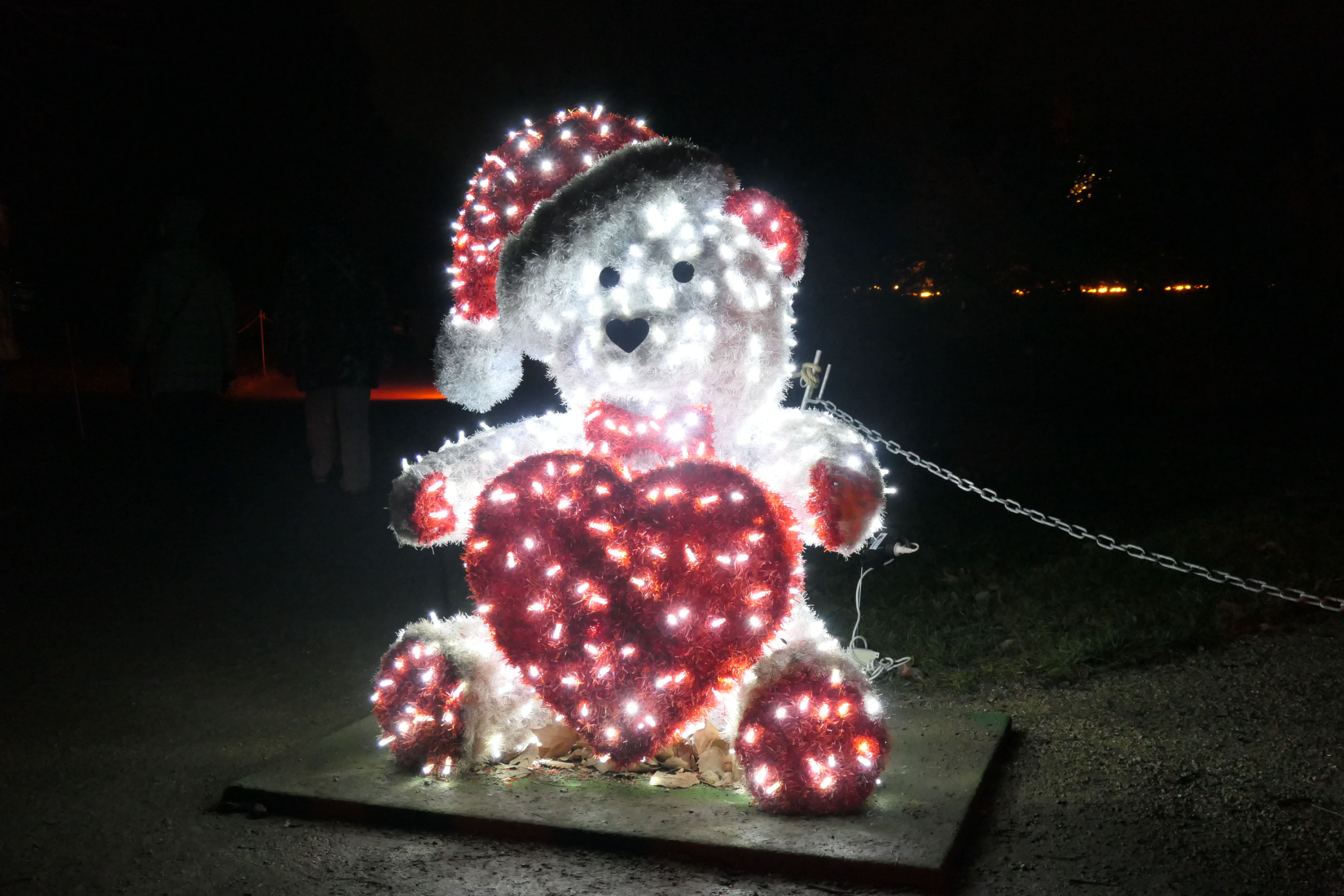 Christmas Garden 09