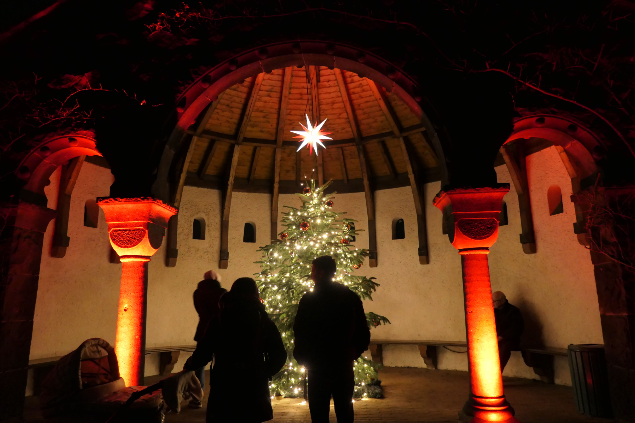 Christmas Garden 10