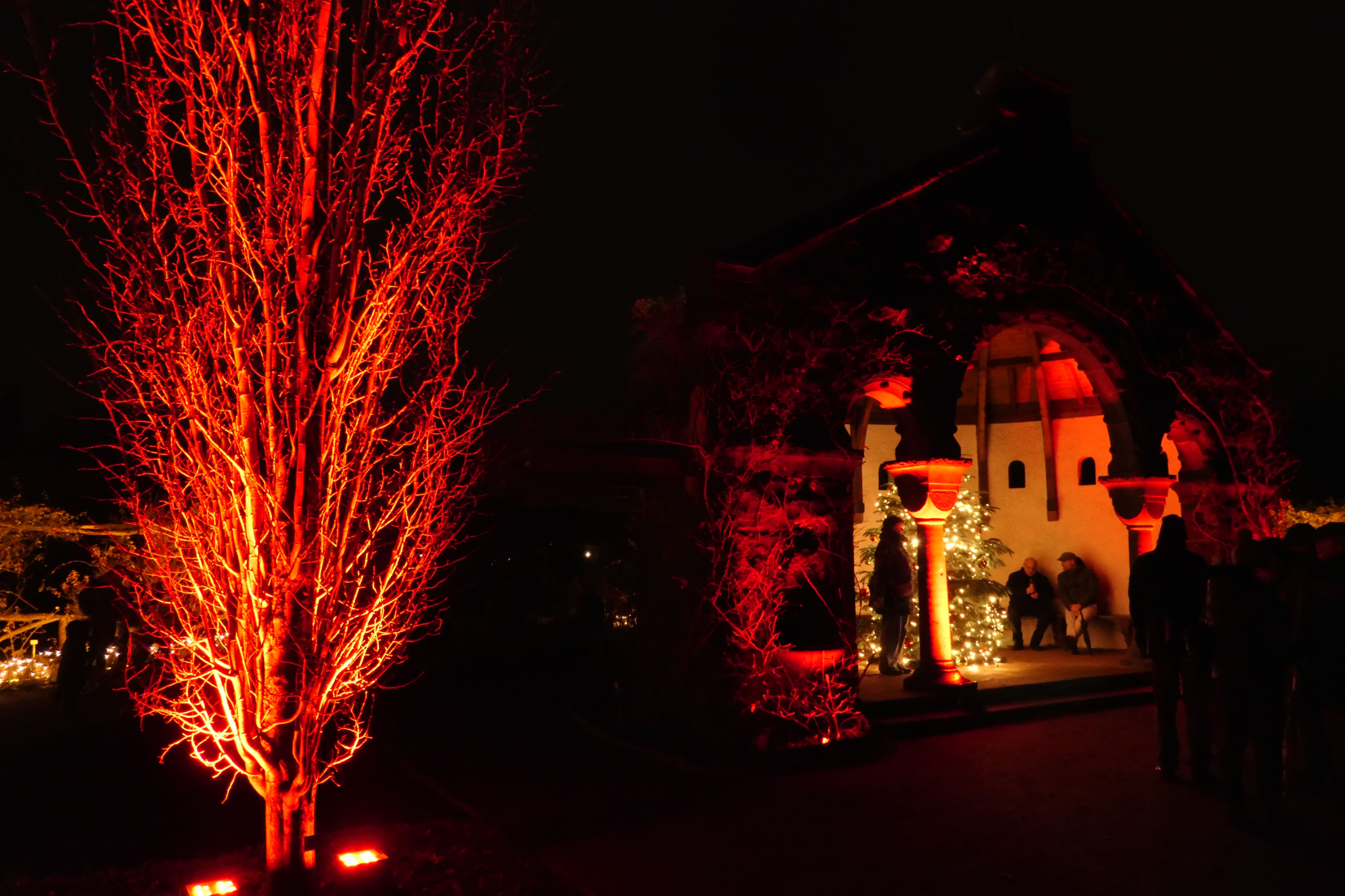 Christmas Garden 11