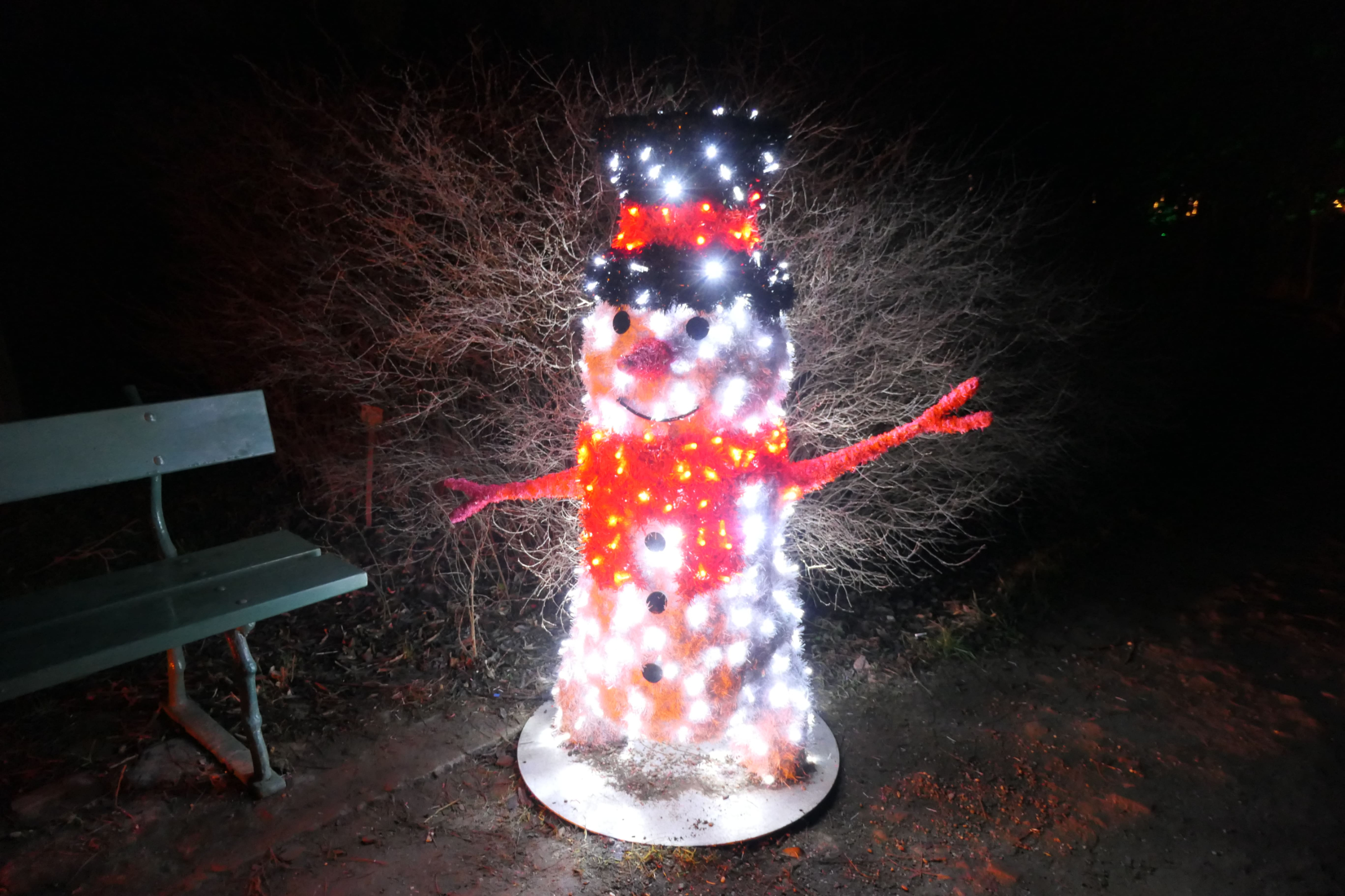 Christmas Garden 12