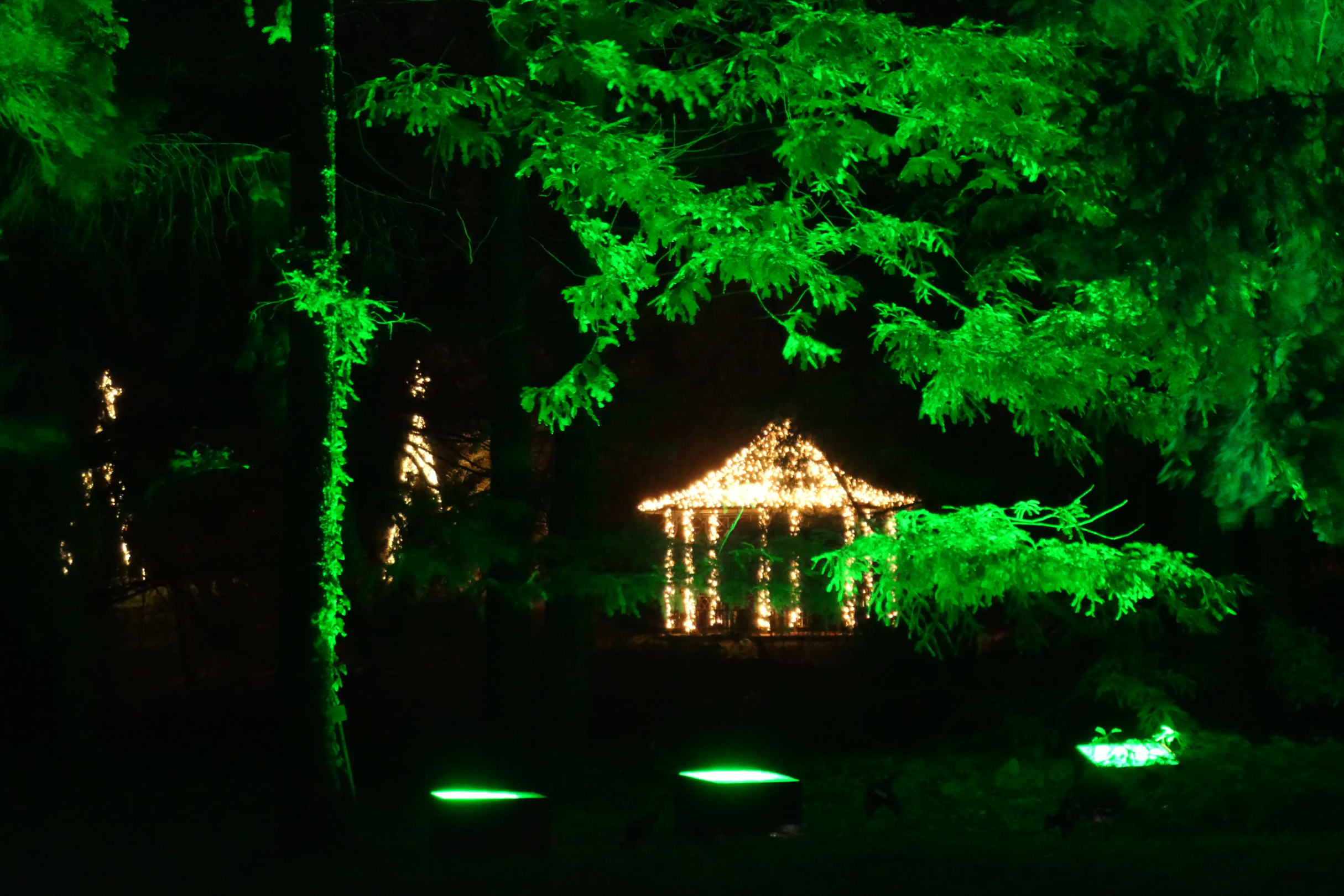 Christmas Garden 15