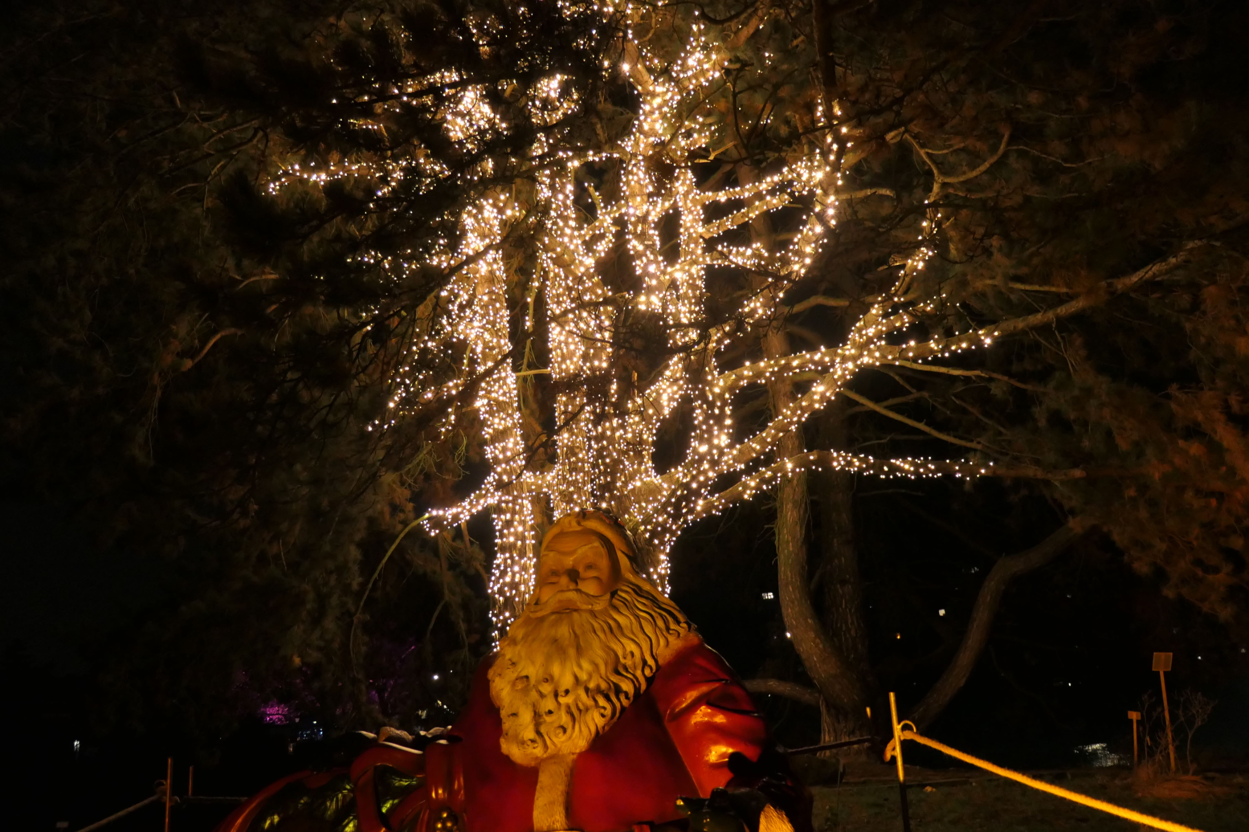 Christmas Garden 16
