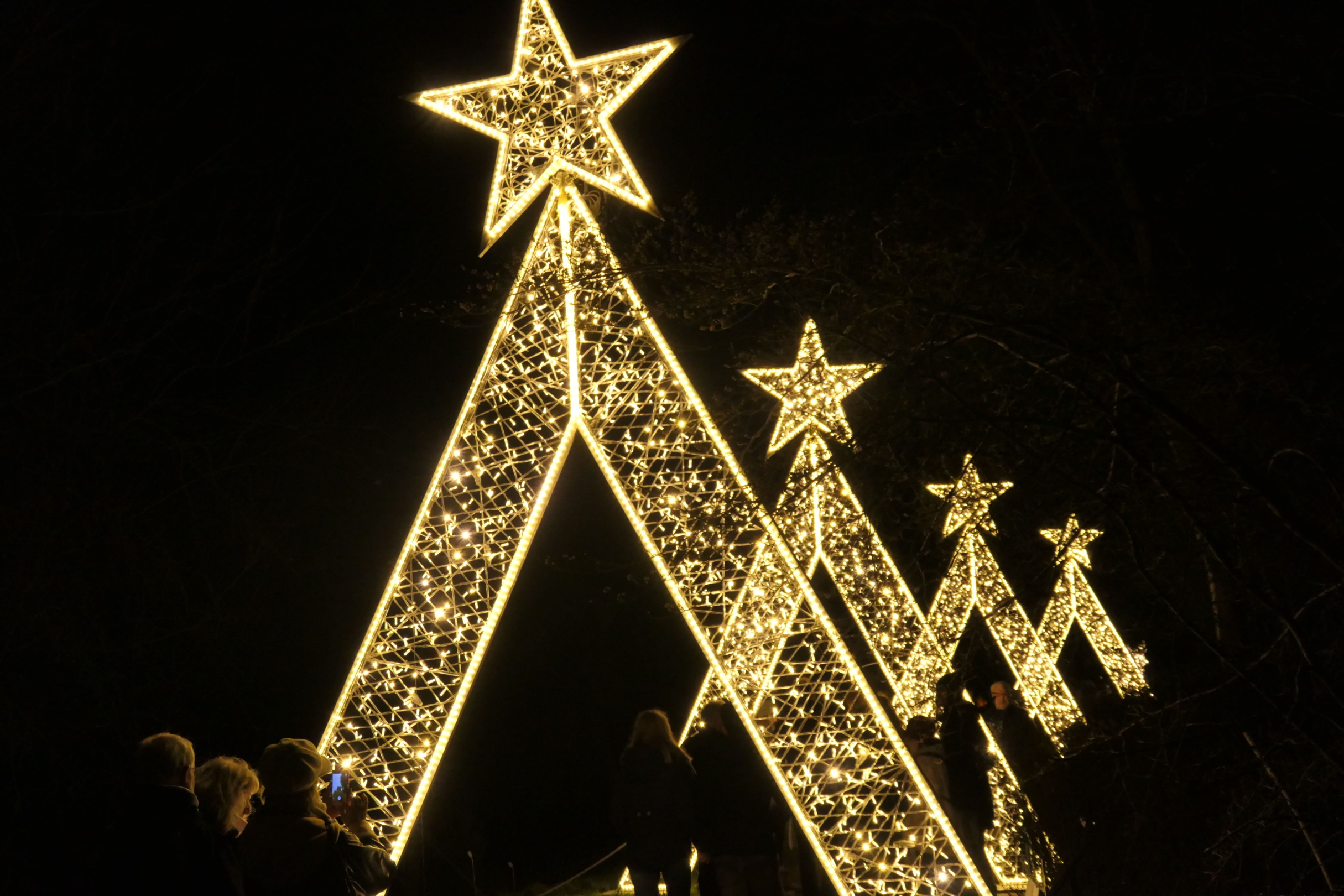 Christmas Garden 17