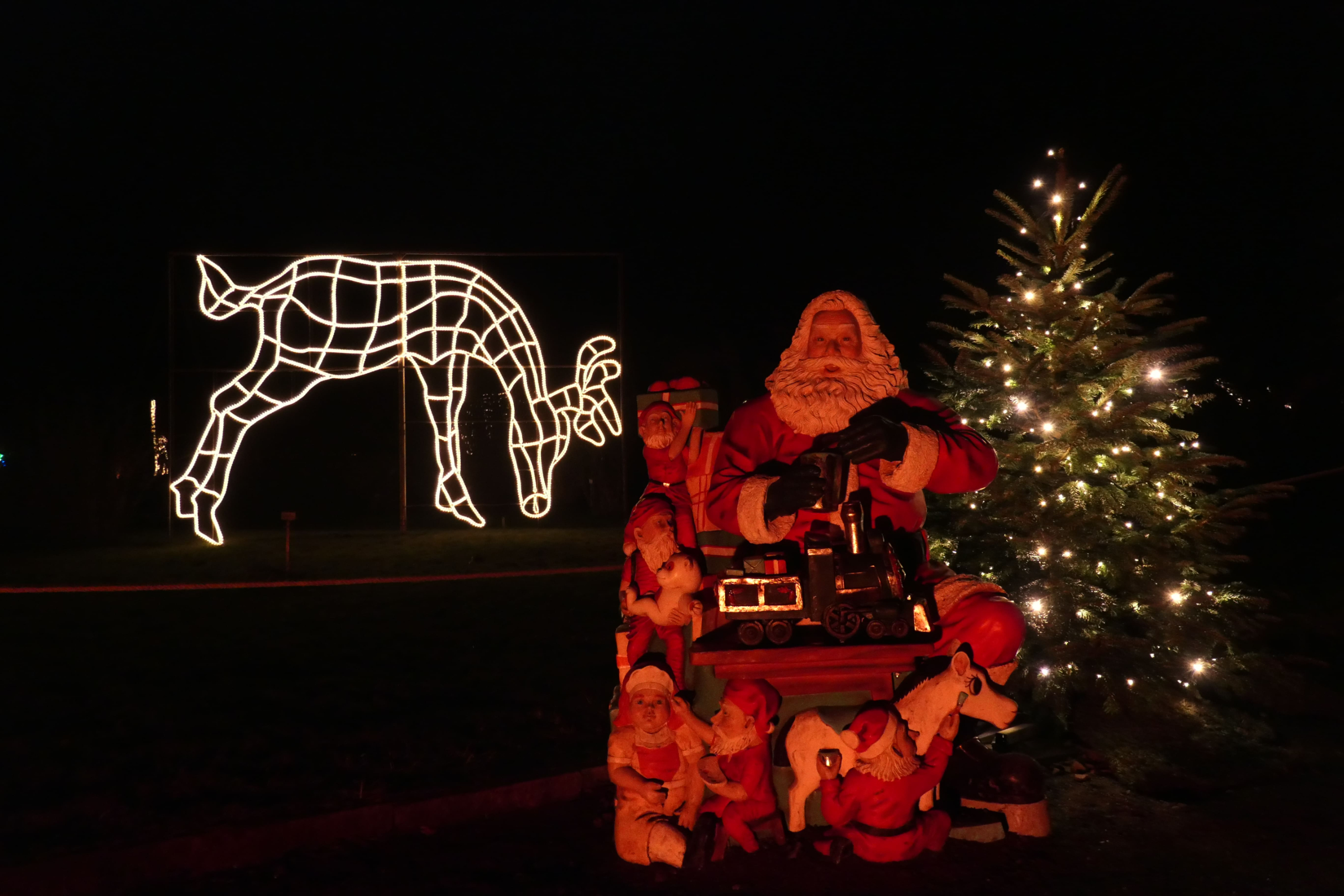 Christmas Garden 18