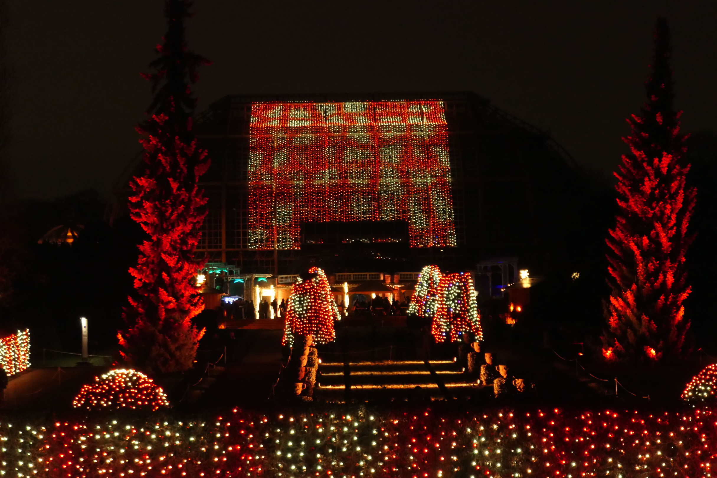 Christmas Garden 19