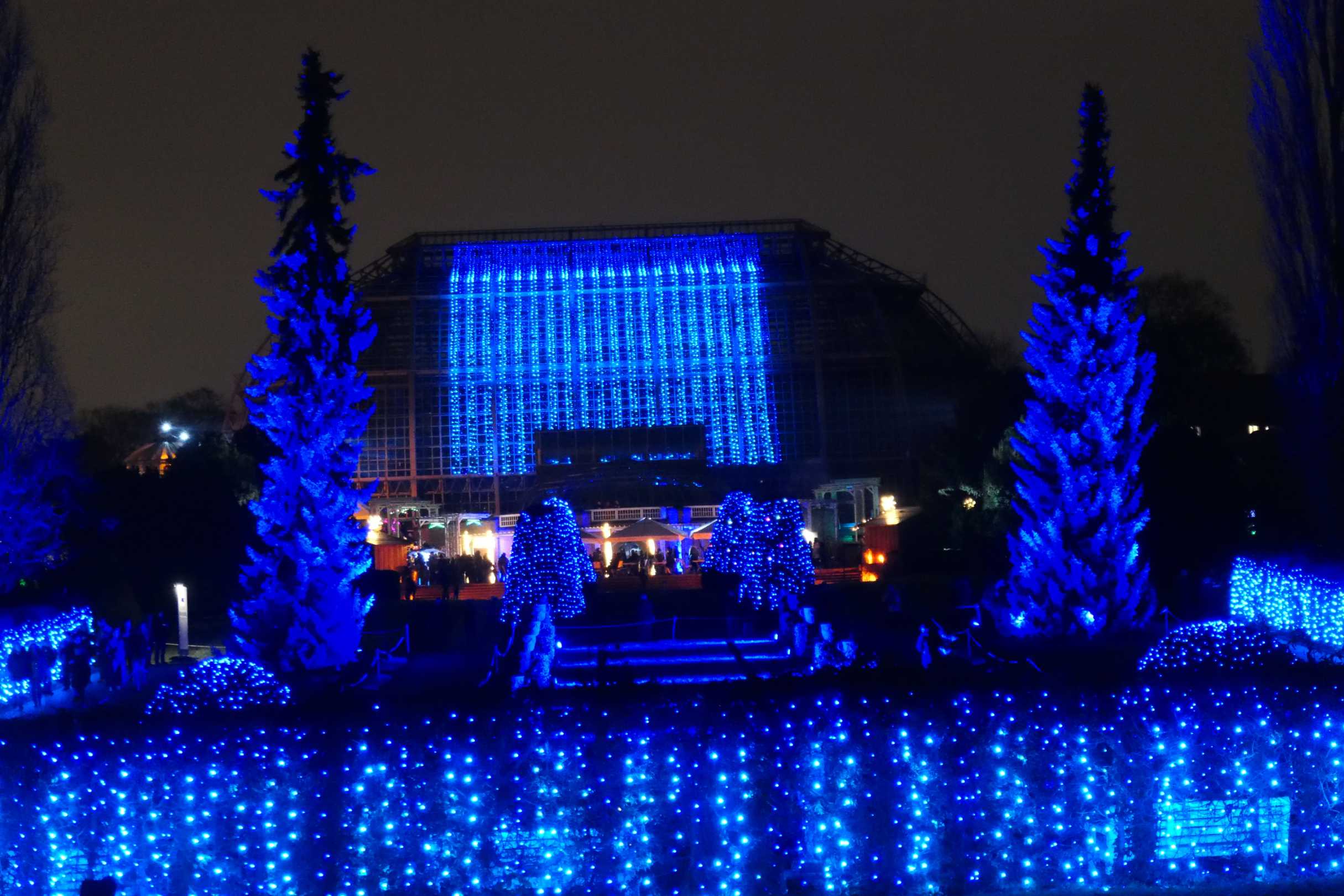 Christmas Garden 20