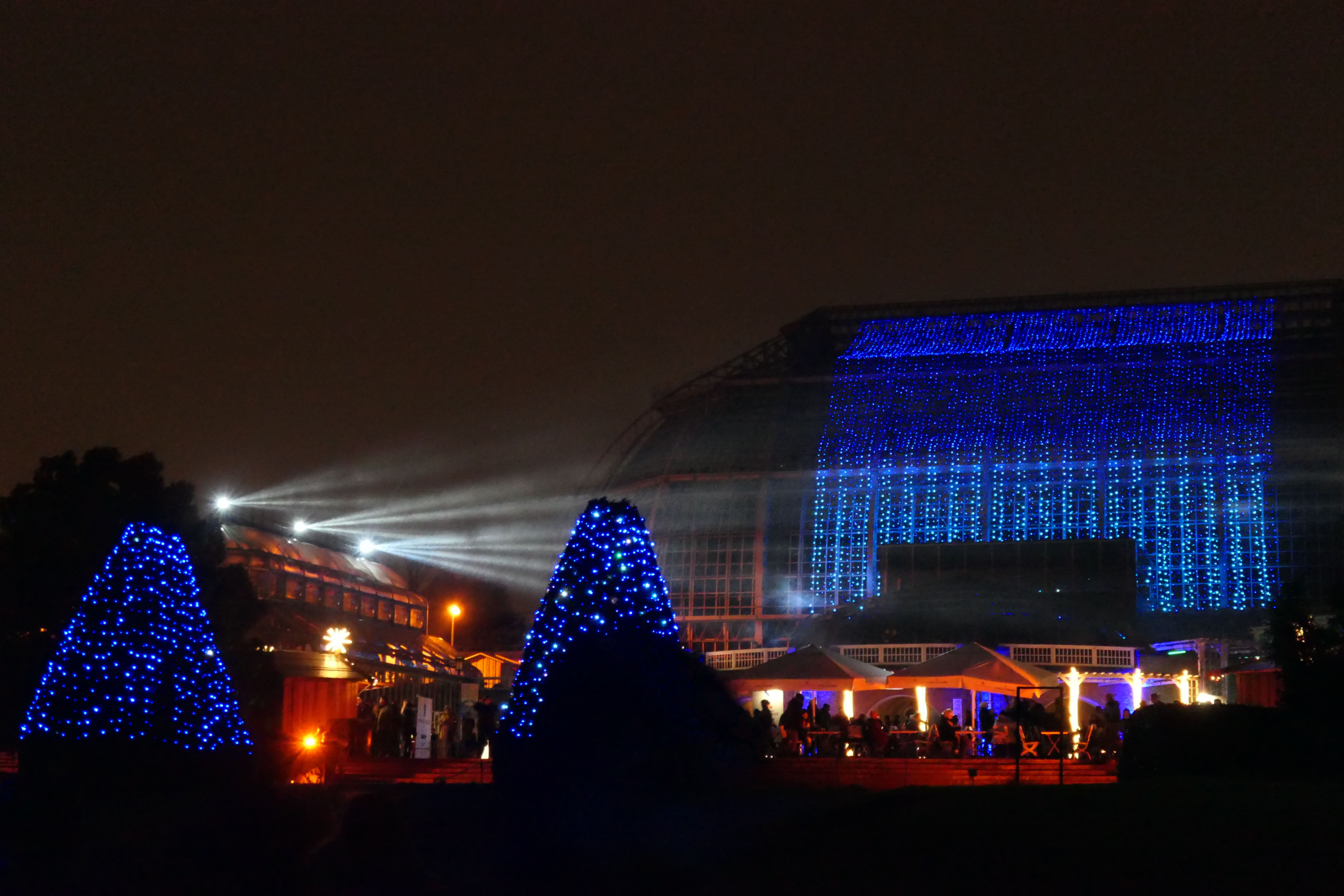 Christmas Garden 21