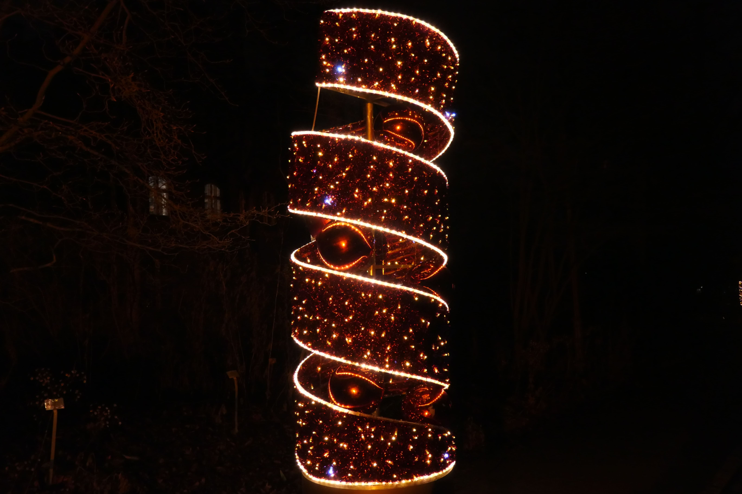 Christmas Garden 22