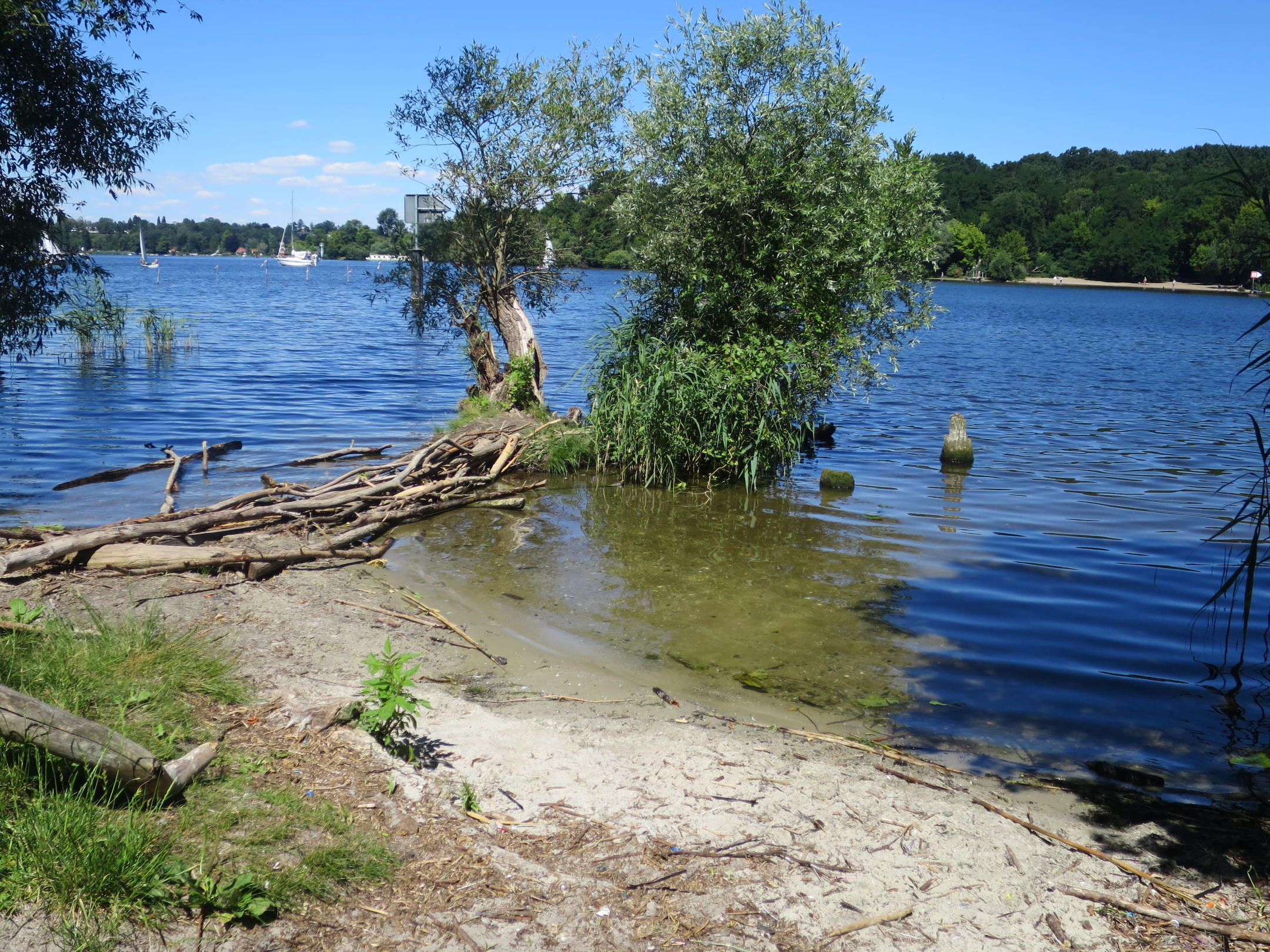 Grunewald 05