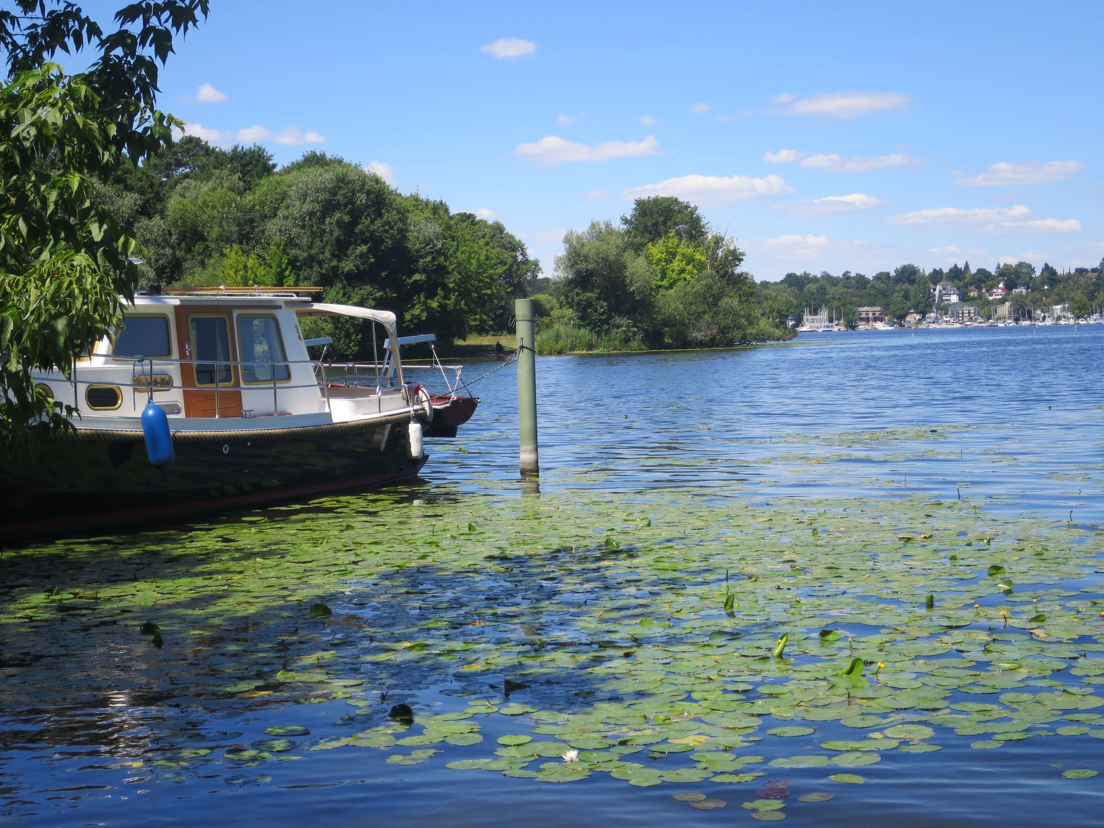 Grunewald 06