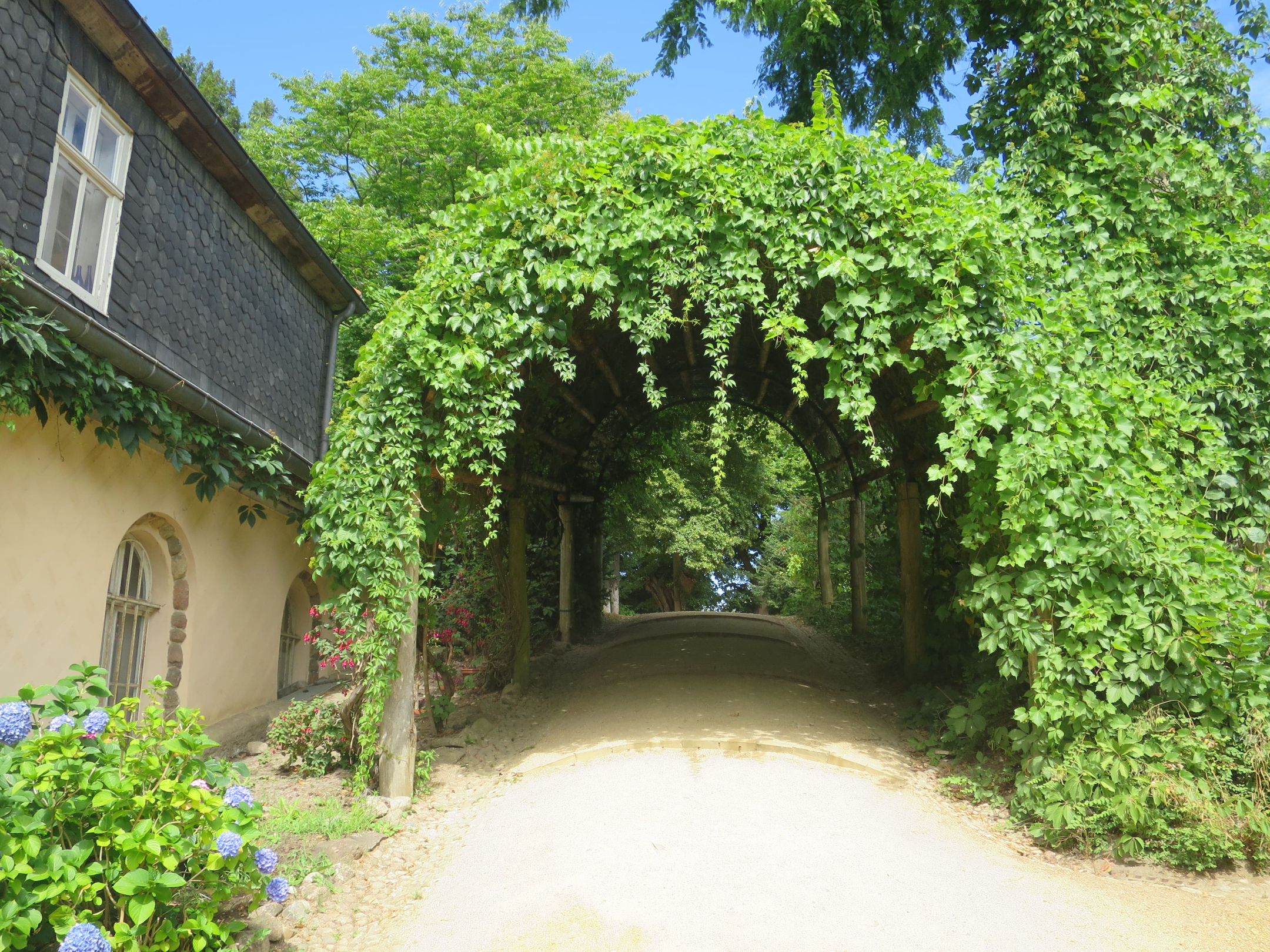 Grunewald 15