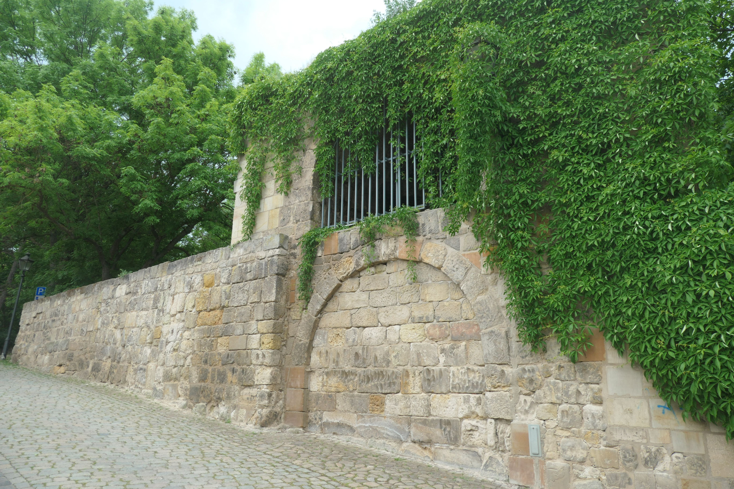 Halberstadt 12