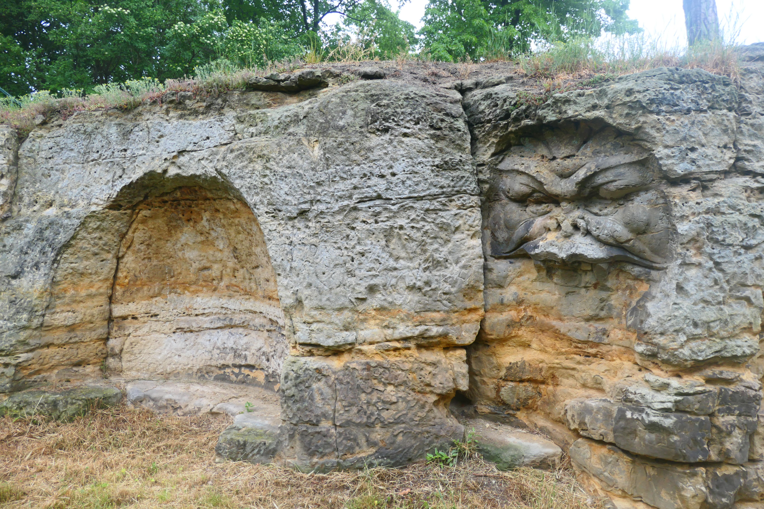 Halberstadt 26