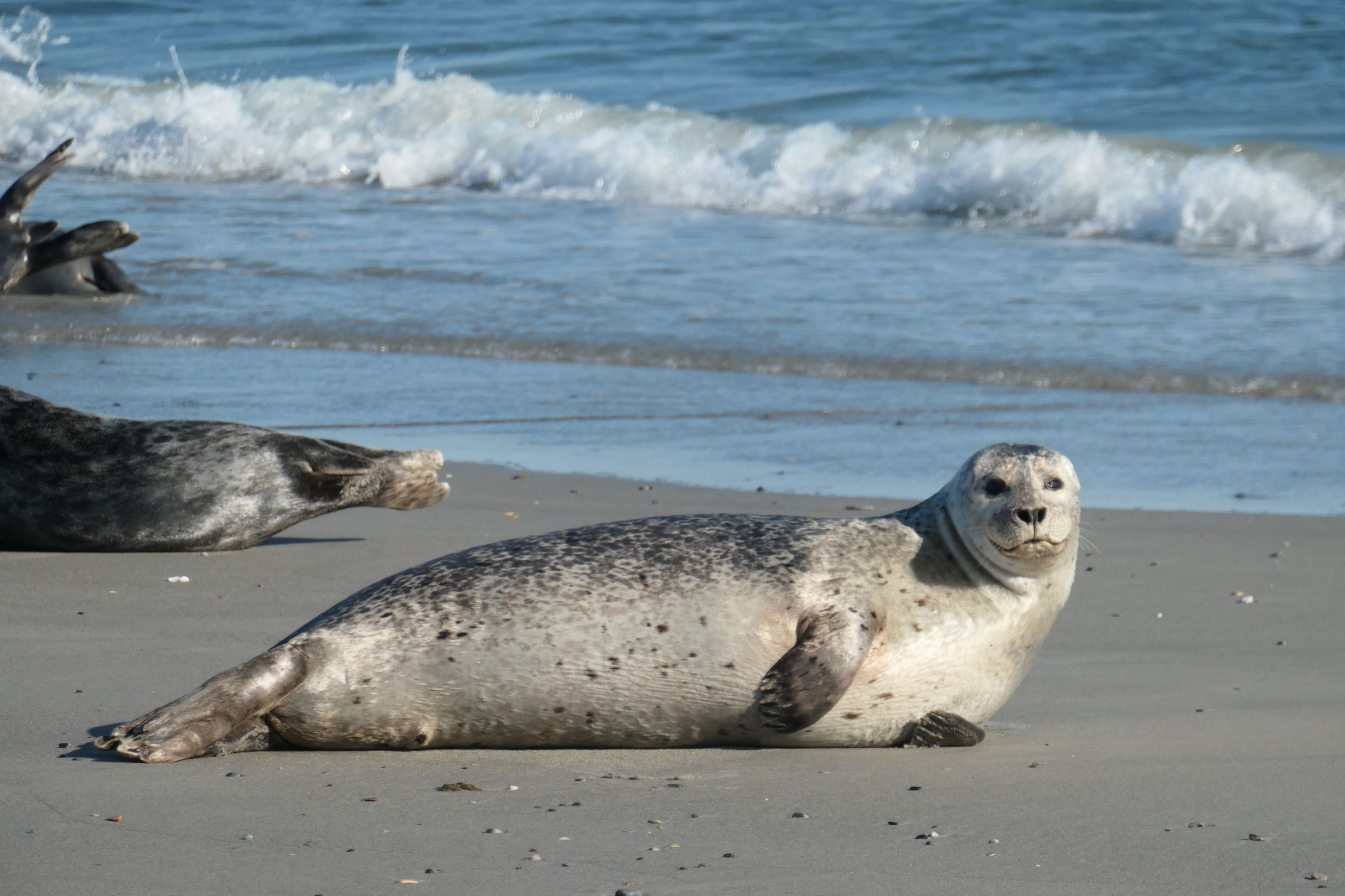 Helgoland 22