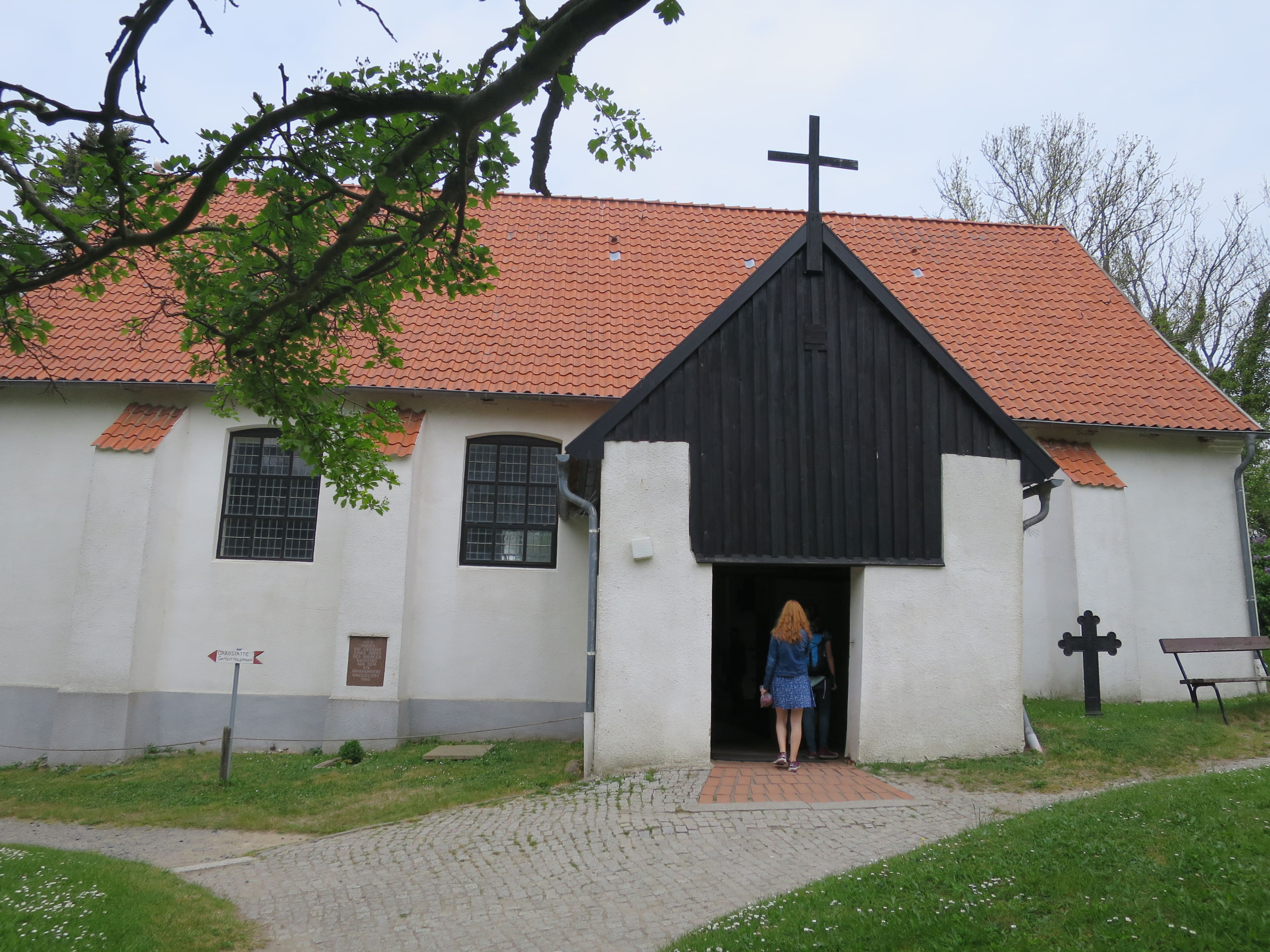 IMG 4887