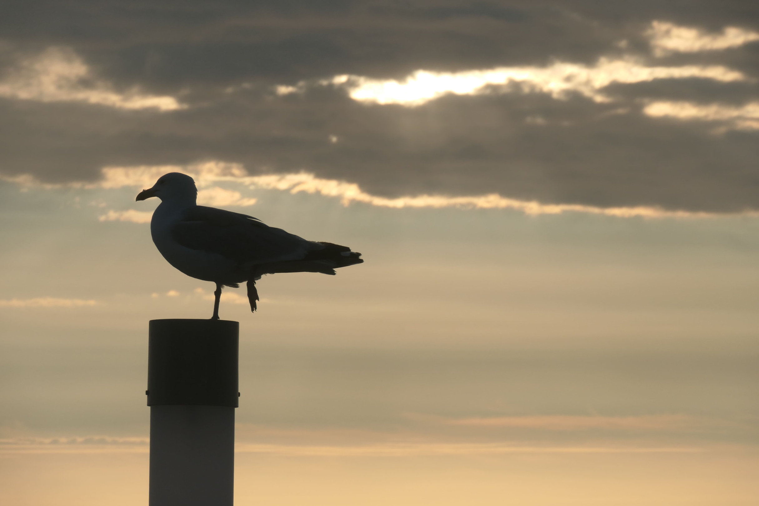 Sylt 2021 42
