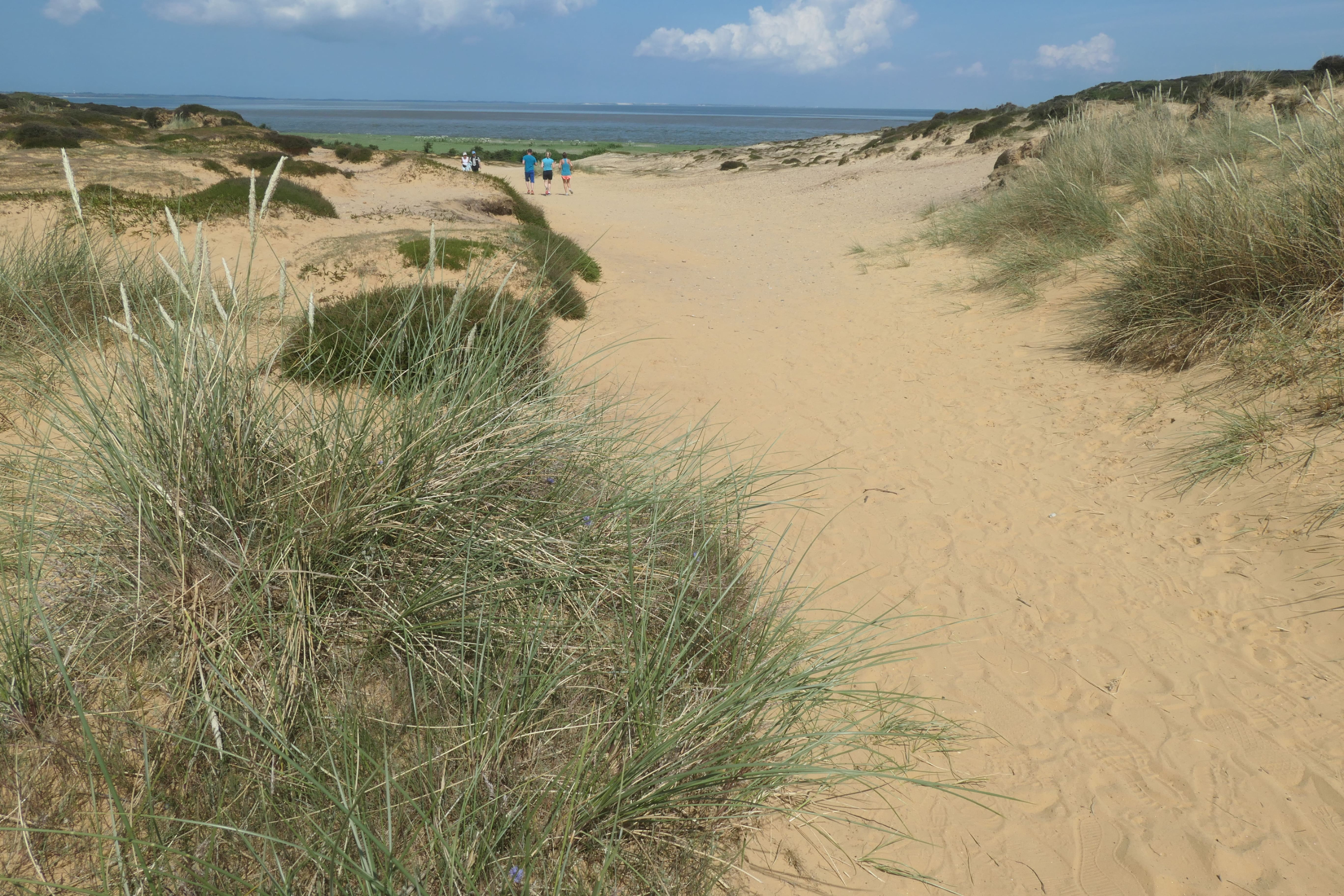 Sylt 2021 51