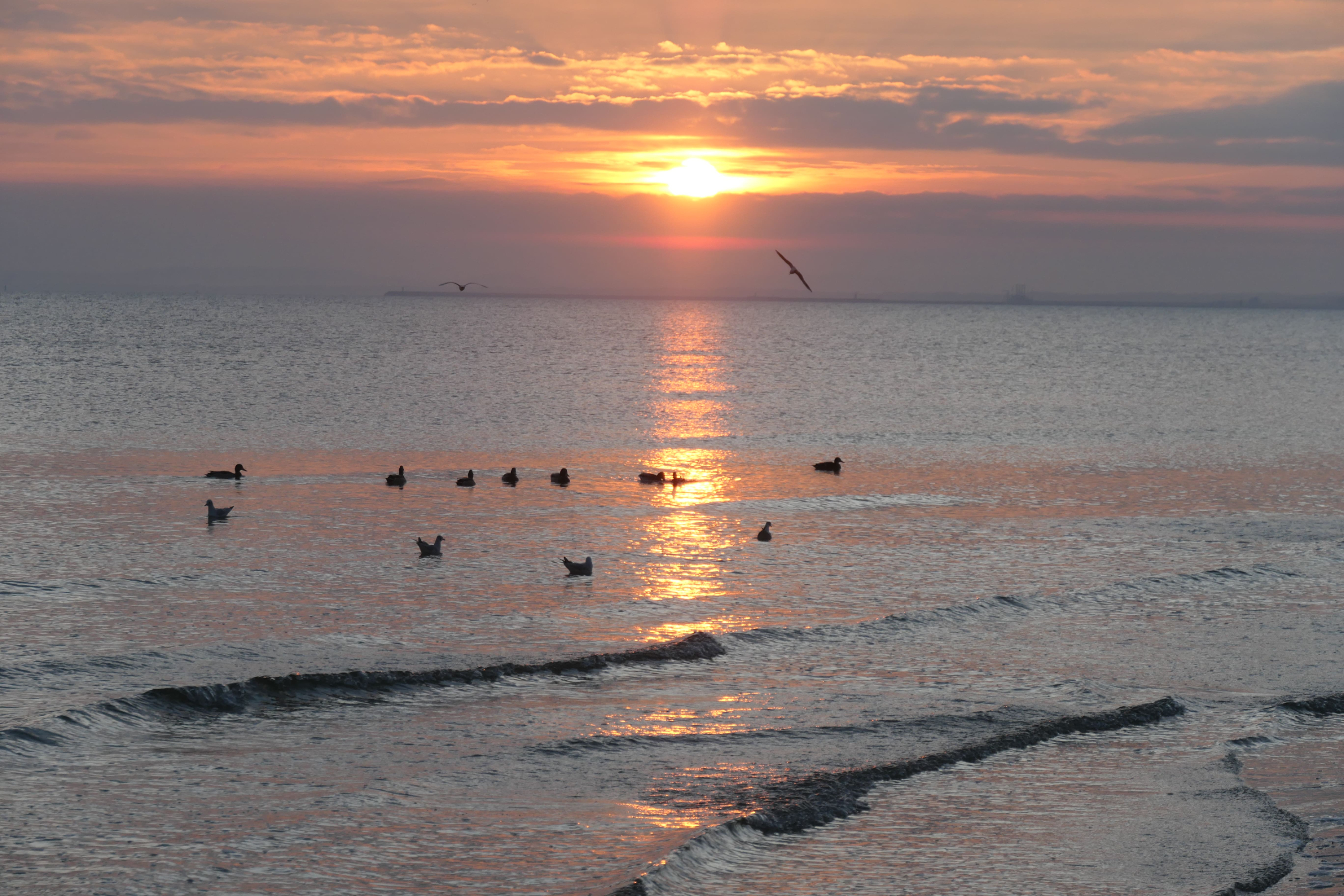 Usedom 14