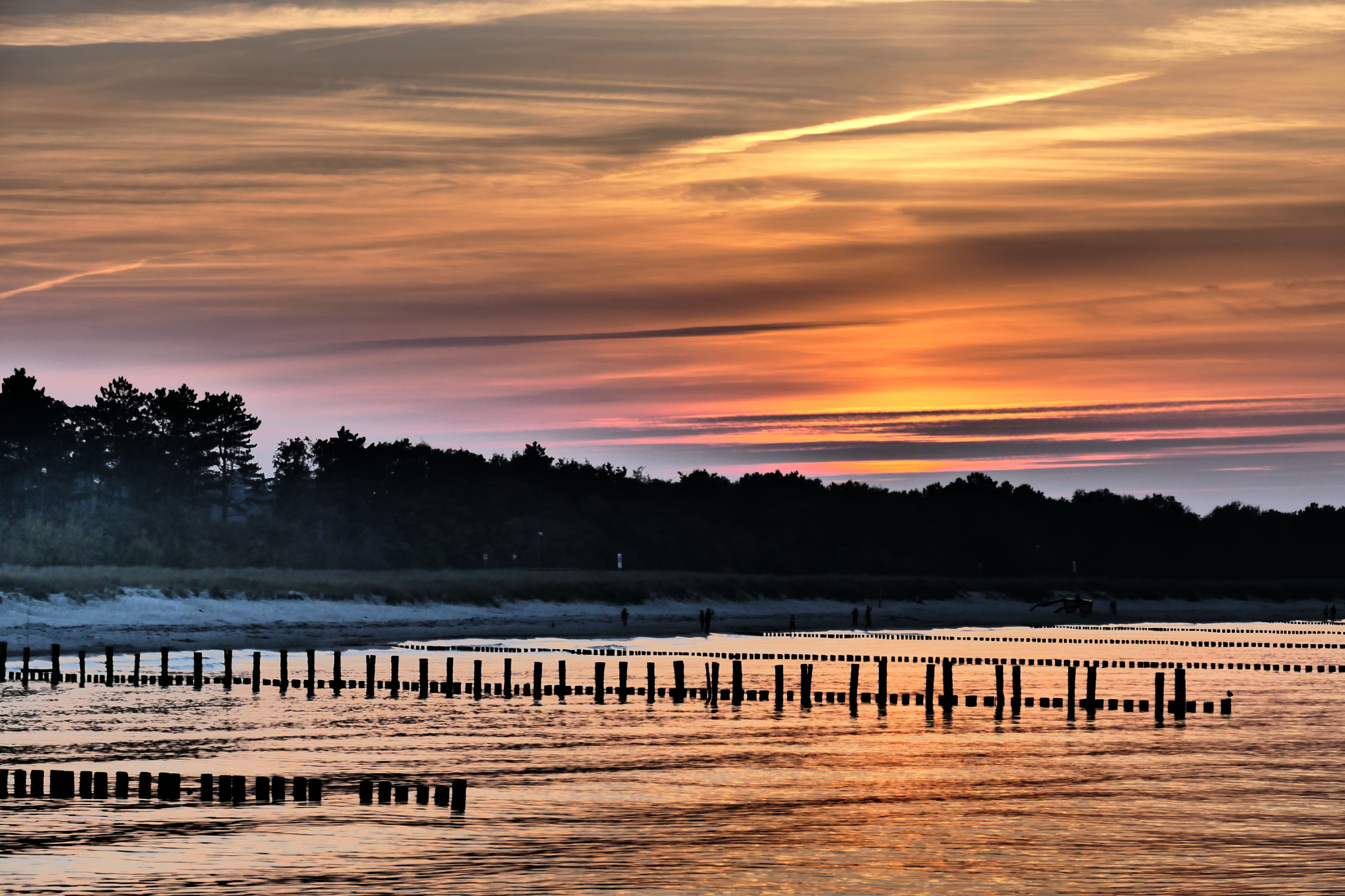 Zingst 28